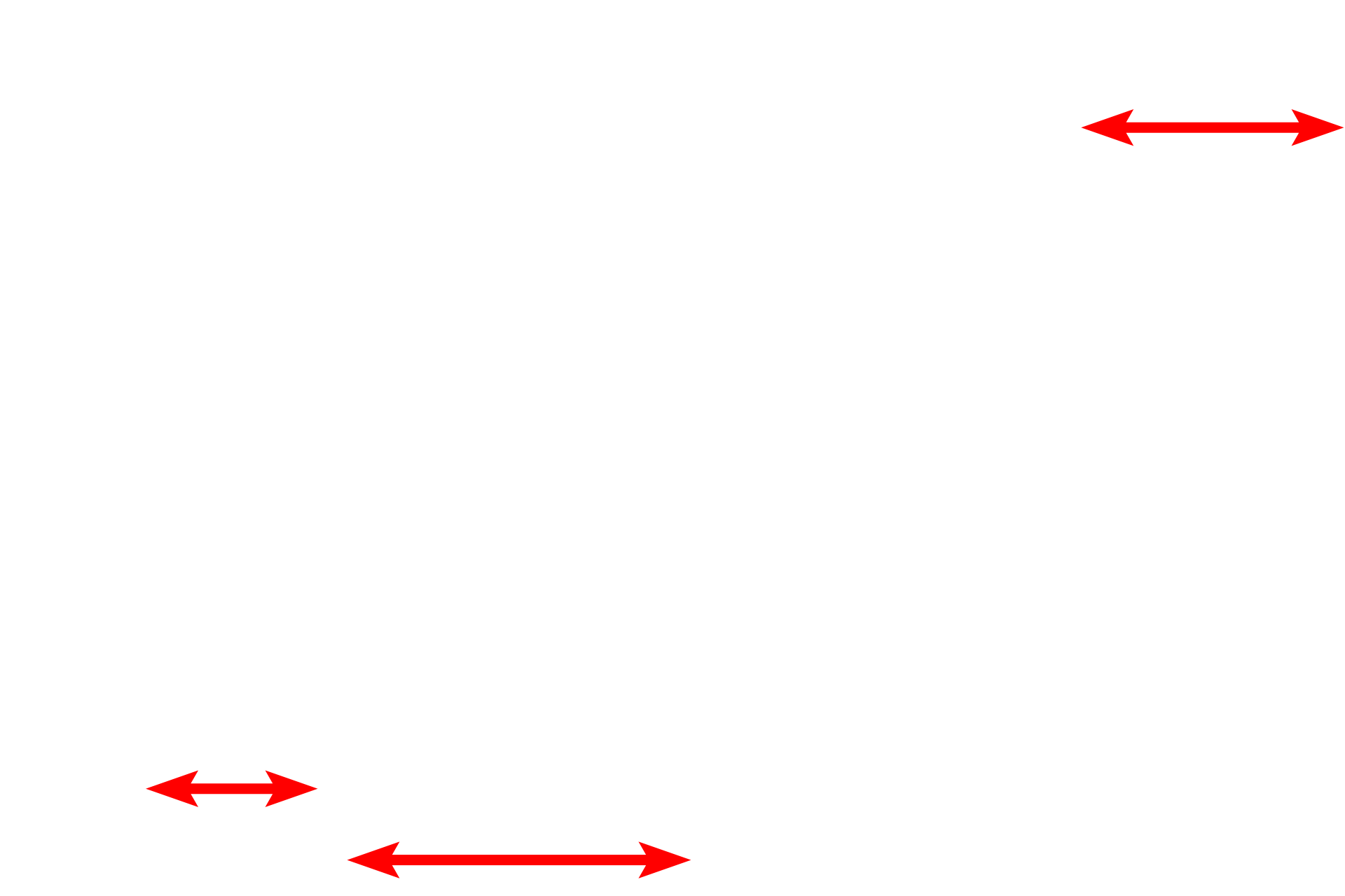  - Myofibrils <p>Skeletal muscle fibers secrete an external lamina that lies immediately adjacent to the sarcolemma (cell membrane). Outside the basal lamina is a layer of reticular fibers, produced by fibroblasts, which form the endomysium. Some consider the basal lamina to be a component of the endomysium. 15,000x</p>

