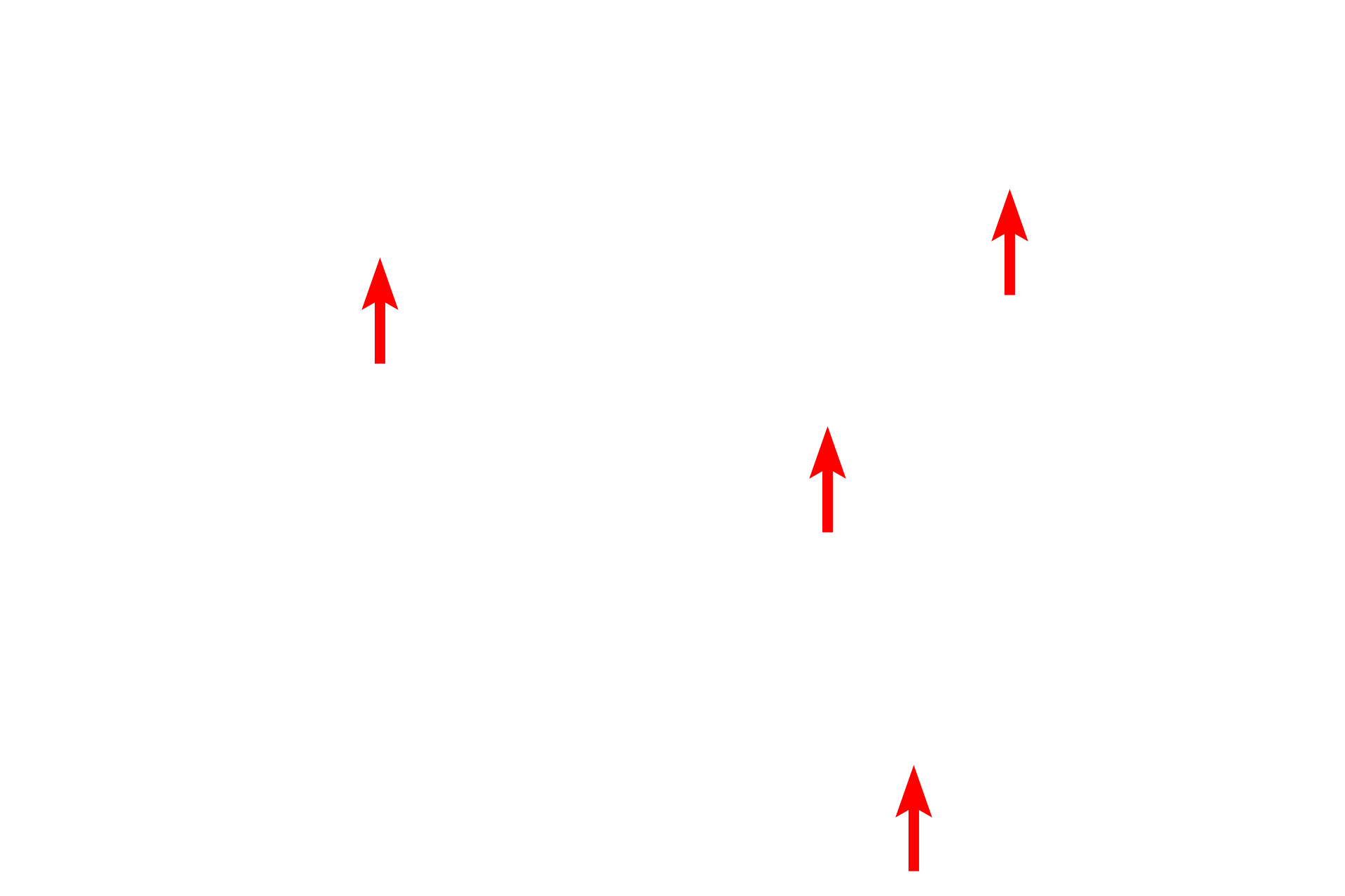 Nuclei <p>This combination stain is also called the Kluver-Barrera method and is commonly used to stain nervous tissue. The stain consists of cresyl violet, which stains basophilic structures similarly to hematoxylin, and luxol fast blue, which stains the myelin sheath turquoise. Brainstem 400x</p>
