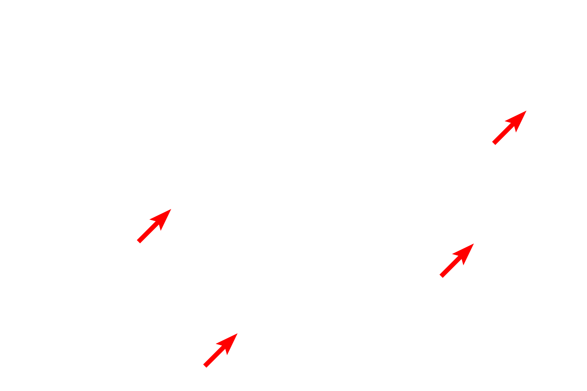 Myelin <p>This combination stain is also called the Kluver-Barrera method and is commonly used to stain nervous tissue. The stain consists of cresyl violet, which stains basophilic structures similarly to hematoxylin, and luxol fast blue, which stains the myelin sheath turquoise. Brainstem 400x</p>
