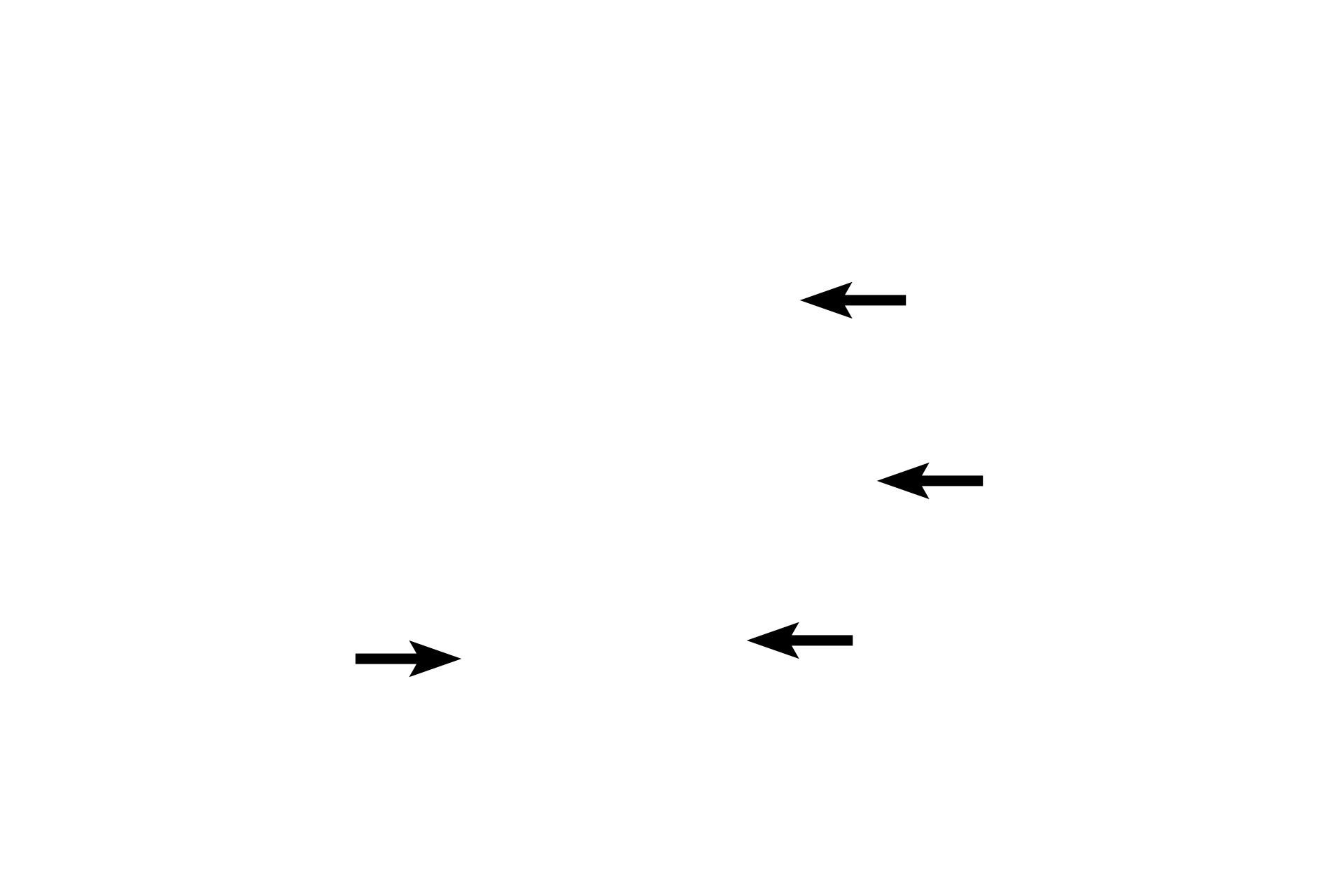 RER > <p>Rough endoplasmic reticulum is positioned in the basal regions of the cell and is the site of secretory product synthesis.  The ribosomes located on the endoplasmic reticulum possess a negative charge and, therefore, are easy to identify because of their affinity for the blue dye, hematoxylin.</p>
