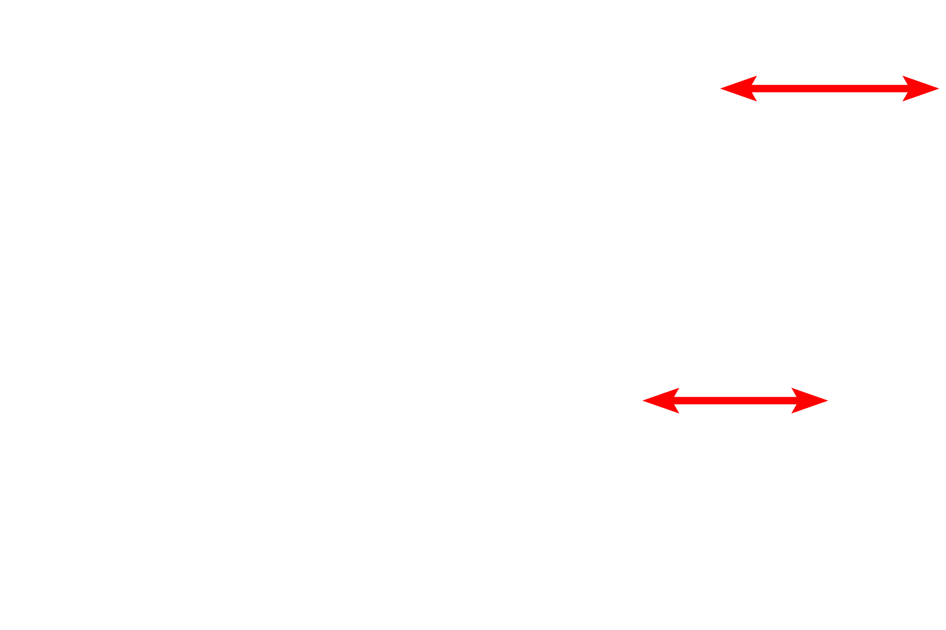 Microvilli <p>Polarity is a feature of a cell which is exhibited when the organelles are not homogenously distributed in the cytoplasm.  This epithelium lining a kidney tubule shows polarity: the base of each cell contains numerous mitochondria; the apex of each cell contains numerous endocytotic vesicles and microvilli that project into the lumen. 6000x</p>
