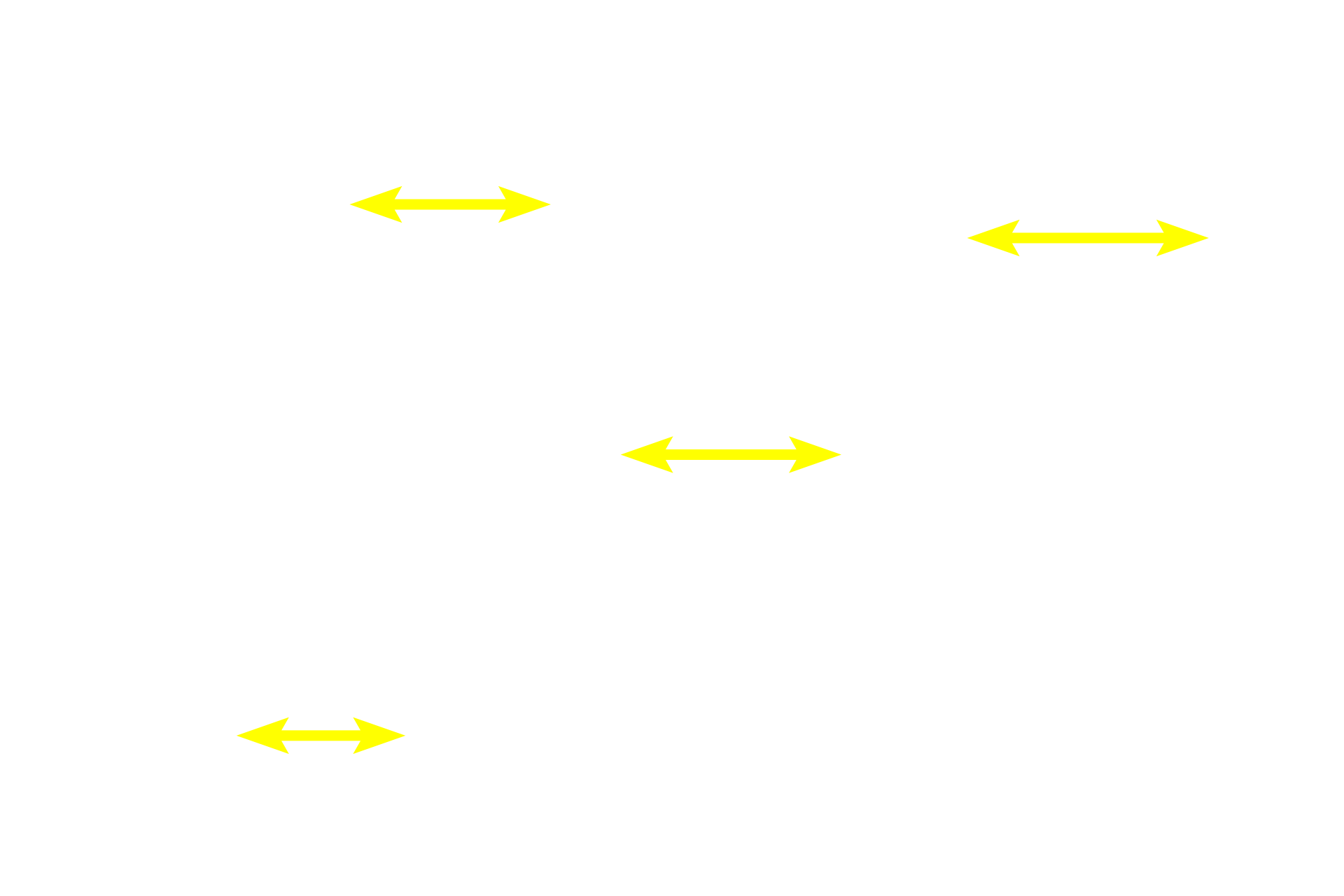 Muscle fibers <p>A cross section of skeletal muscle displays large, cylindrical fibers with multiple, peripherally located nuclei, a feature which is diagnostic for skeletal muscle. Each fiber contains densely packed myofibrils. 400x</p>

