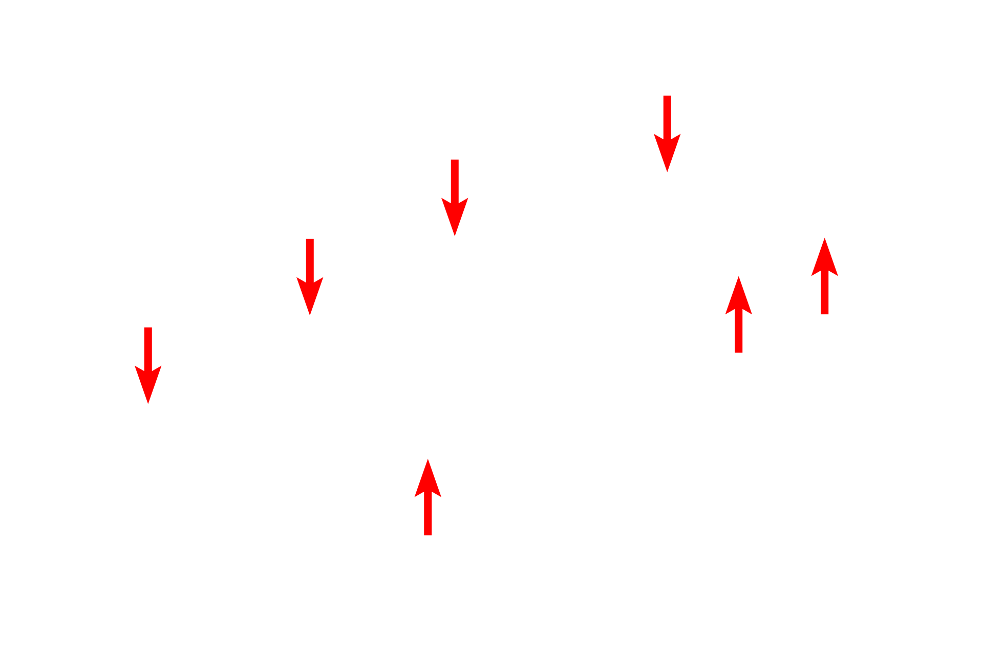 Plasma membrane <p>This image shows an electron micrograph of a squamous cell which lines body cavities.  The cell has very little cytoplasm; note how the nucleus conforms to the shape of the cell.  At its thinnest point, this cell is only 0.5 microns thick.  Serous membrane  15,000x</p>
