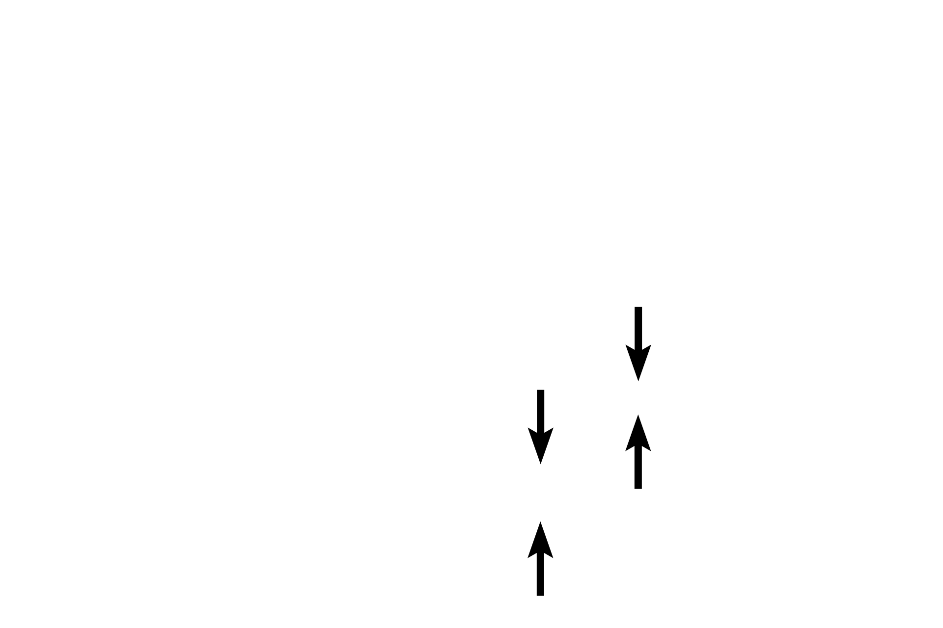  - Cell boundaries <p>Columnar cells are shaped like columns and, as such, are much taller than they are wide.  Here, a single row of columnar cells lines the digestive tract.  The nucleus conforms to the cell’s shape, with the long axis of its oval parallel to the height of the cell.  The lateral cell boundaries are also visible in this section.  Small intestine  1000x</p>
