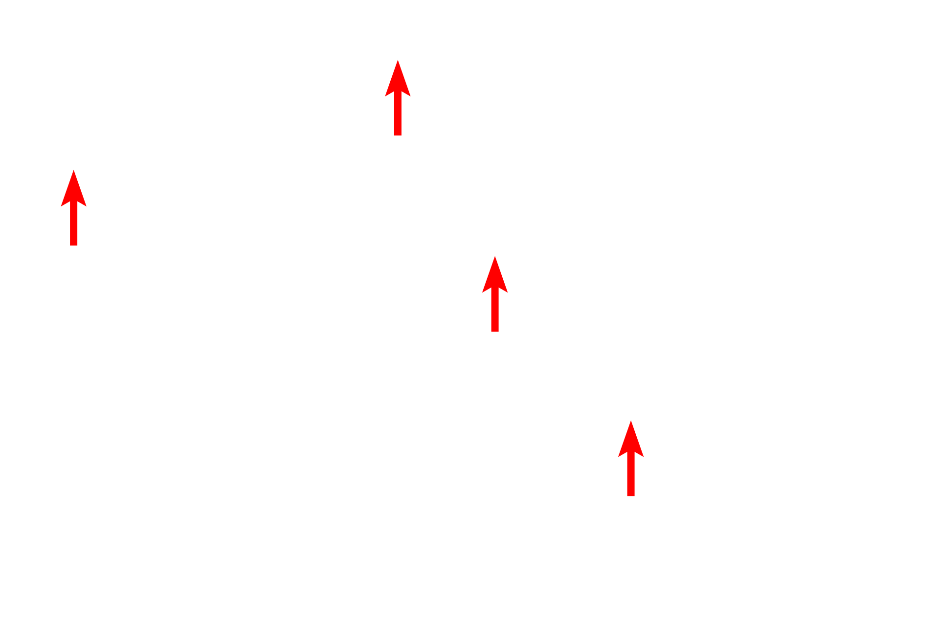 Ground substance <p>This complex stain utilizes five dyes to reveal the different components of tissue. With this stain, elastic fibers stain black; collagen and reticular fibers stain yellow; tissue ground substance stains blue; and cytoplasm stains red. This section of skin demonstrates this dramatic staining pattern. 200x</p>
