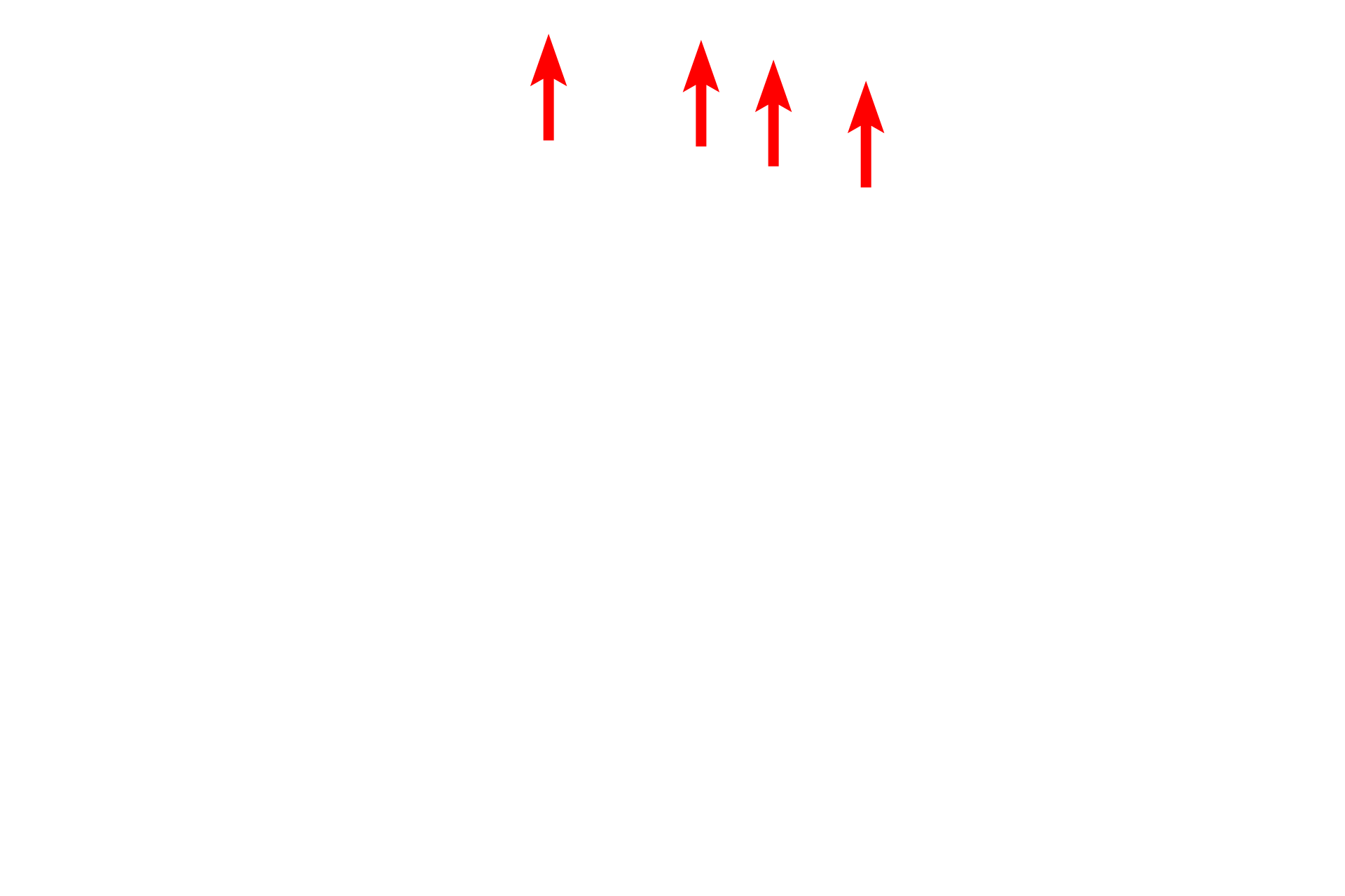 Nuclear envelope <p>Areas that bind the metal appear dark and are referred to as electron dense.  Where very little of the metal binds, the electrons pass freely through the section, producing a light, or electron lucent area.</p>
