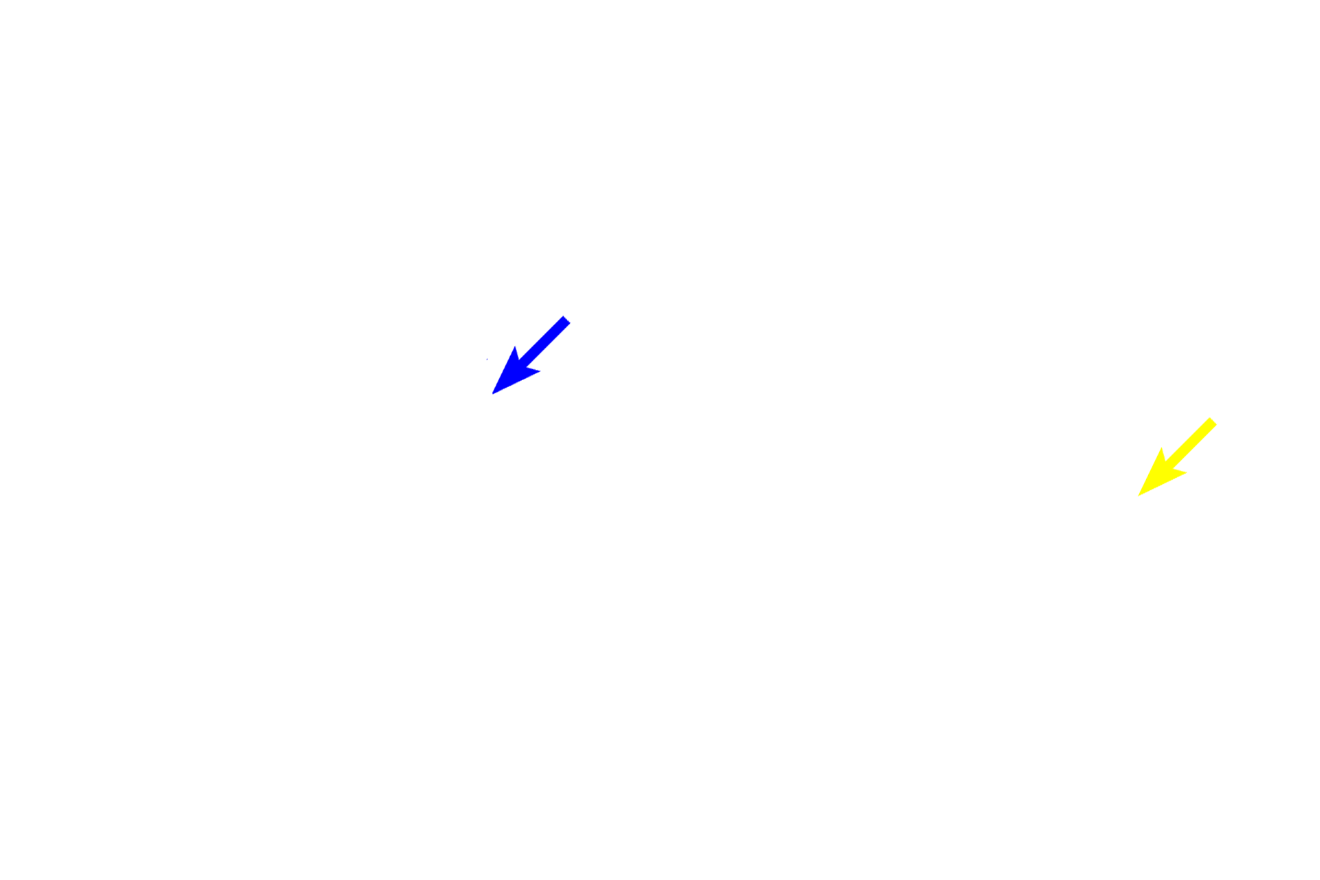 Nucleus <p>Interphase accounts for about 95% of the cell cycle. It consists of an initial a period of cell growth (G1), followed by a synthesis phase (S) during which DNA and centriole replication occurs, and lastly by a second growth phase (G2) just prior to mitosis.  This diagrammatic illustration of the G1 stage, depicts the chromosomes in the condensed state; they will not actually condense until prophase of mitosis.</p>
