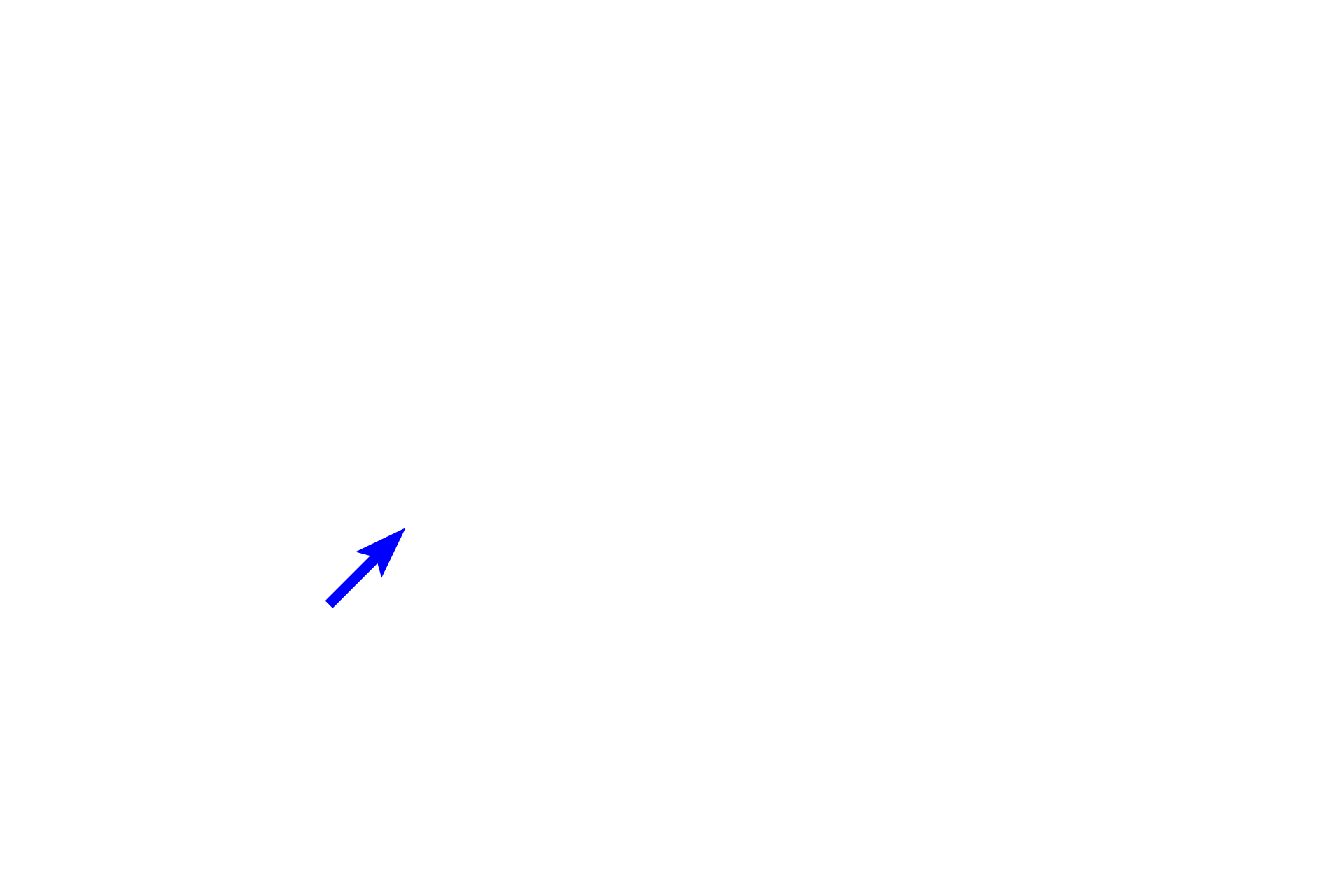  - Nucleolus <p>Interphase accounts for about 95% of the cell cycle. It consists of an initial a period of cell growth (G1), followed by a synthesis phase (S) during which DNA and centriole replication occurs, and lastly by a second growth phase (G2) just prior to mitosis.  This diagrammatic illustration of the G1 stage, depicts the chromosomes in the condensed state; they will not actually condense until prophase of mitosis.</p>
