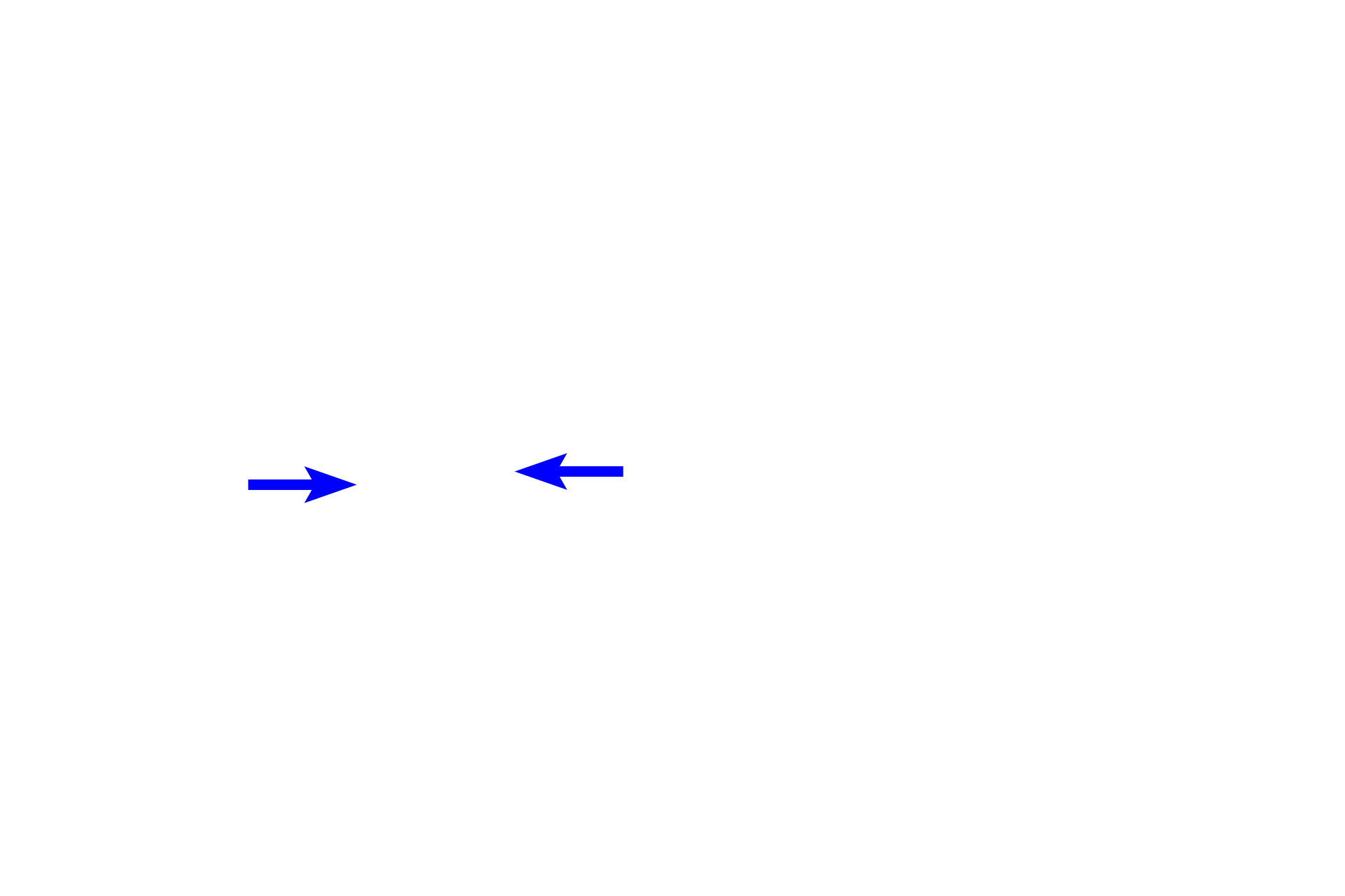  - Chromosomes > <p>Humans have 23 pairs of chromosomes, 22 pairs of autosomes and one pair of sex chromosomes, XX or XY.  The full complement of 23 pairs of chromosomes is designated 2N.  In this diagram only a single homologous pair is shown, one in red and the other in blue.</p>
