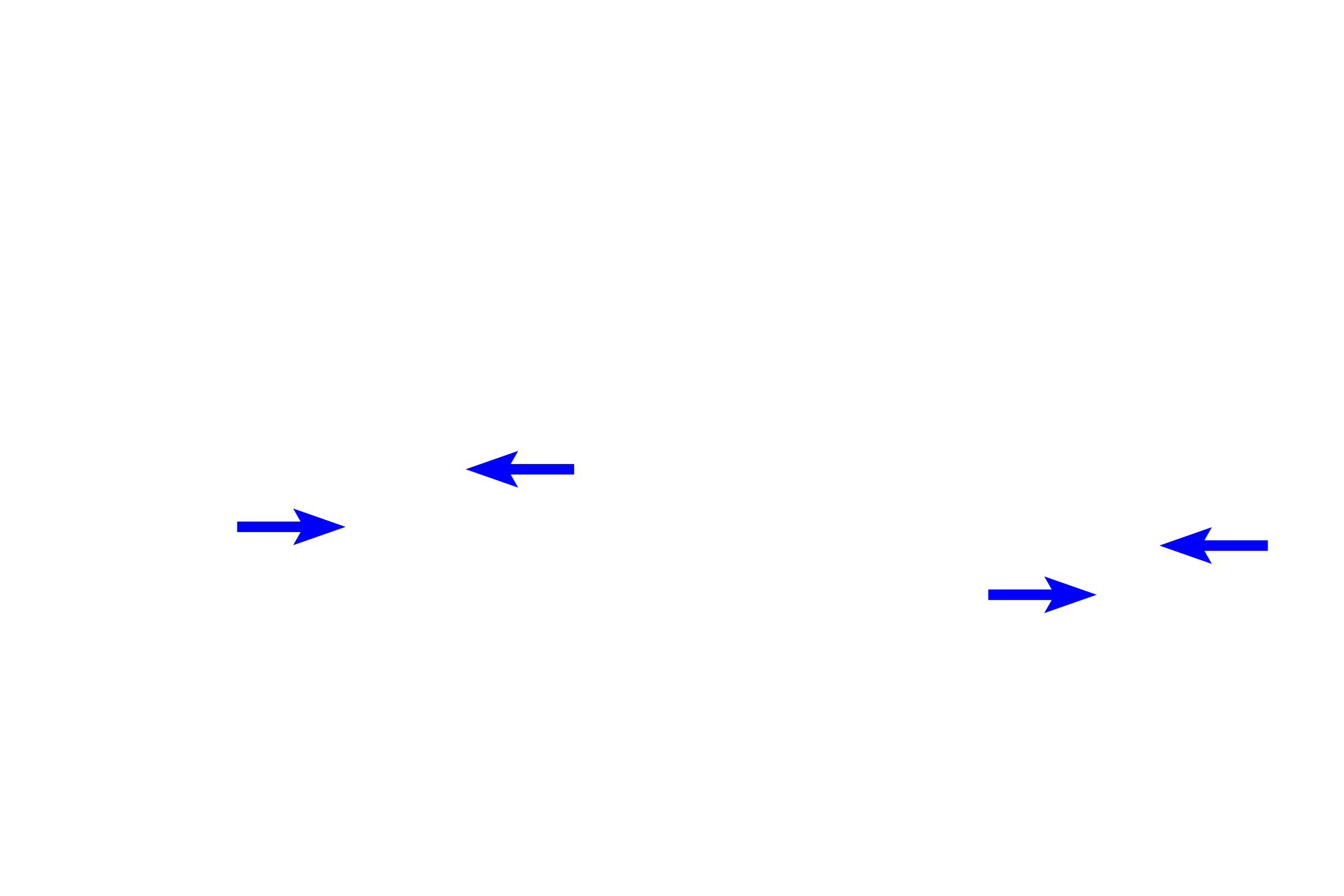 Mitotic spindle > <p>Microtubules of the spindle apparatus extend from the centrioles of the centrosome.  One set attaches to the kinetochore of the chromatids (kinetochore microtubules); one set overlaps with opposing microtubules at the midline; and a third set extends away from the spindle (astral microtubles).</p>
