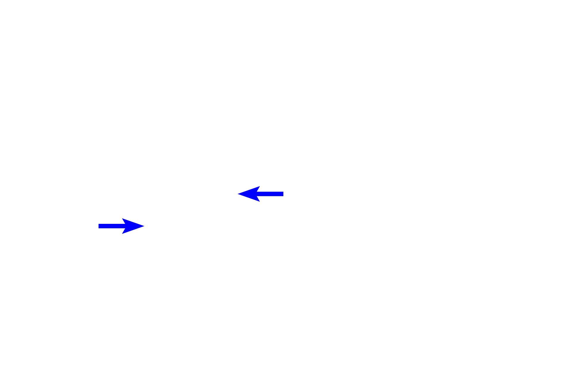 Centromeres <p>Sister chromatids are separated from each other following the breakdown of cohesive proteins holding them together at the centromere.  Chromatids are then drawn to opposite poles by the pulling force of the kinetochore microtubules.  Once separated, chromatids are referred to as chromosomes.</p>
