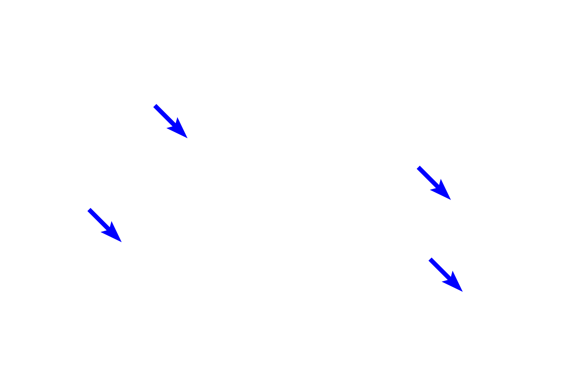 Nuclear envelope <p>During telophase, the nuclear envelope and nucleoli reform, and the chromosomal DNA decondenses.  The developing cleavage furrow indicates the division of the cytoplasm (cytokinesis) and the formation of identical daughter cells.</p>
