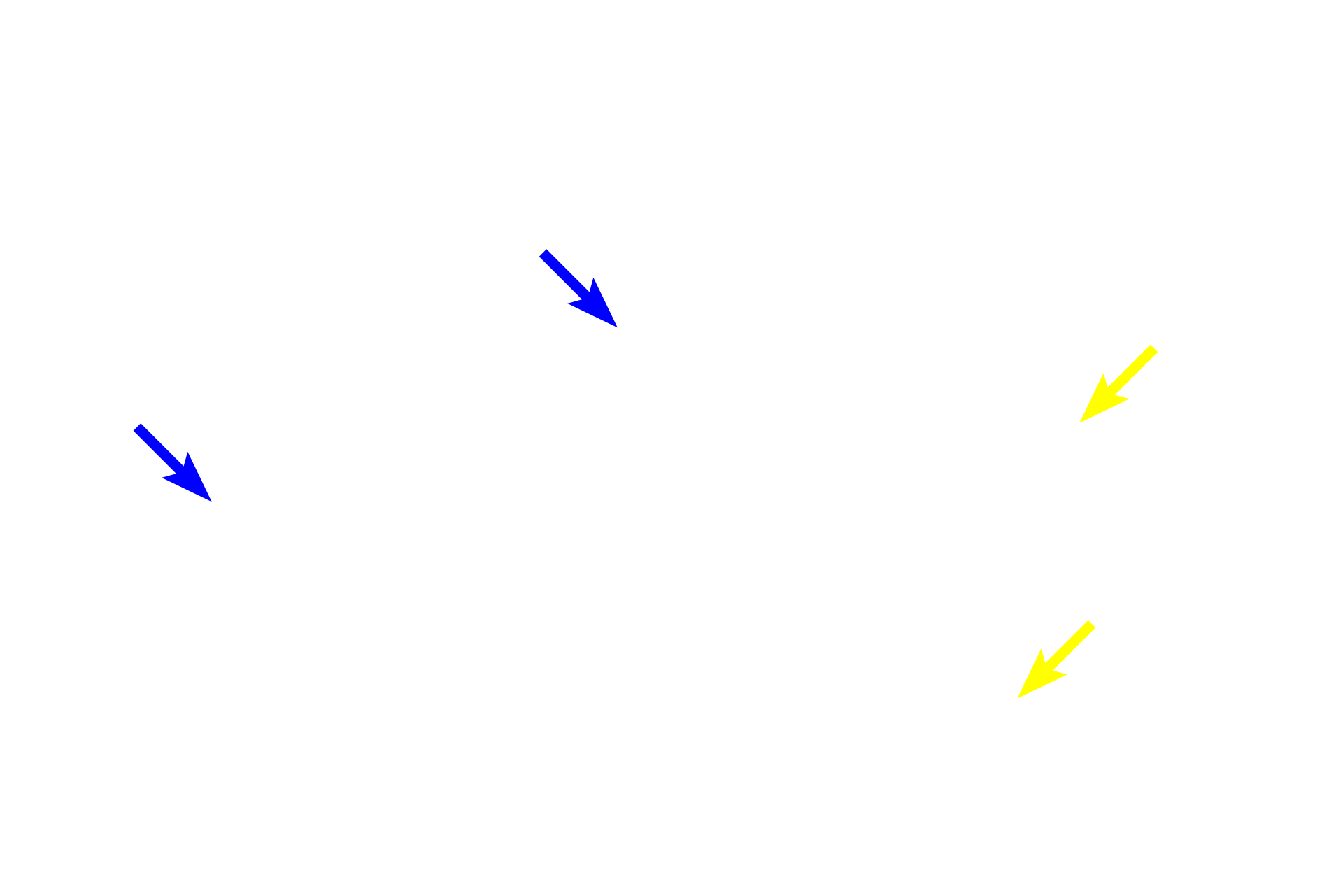 Nuclear envelope <p>Humans have 23 pairs of chromosomes, 22 pairs of autosomes and one pair of sex chromosomes, XX or XY.  The full complement of 23 pairs of chromosomes is designated 2N.  Note, in this diagram the chromosomes are shown in the condensed state for comparison with the other figures.</p>
