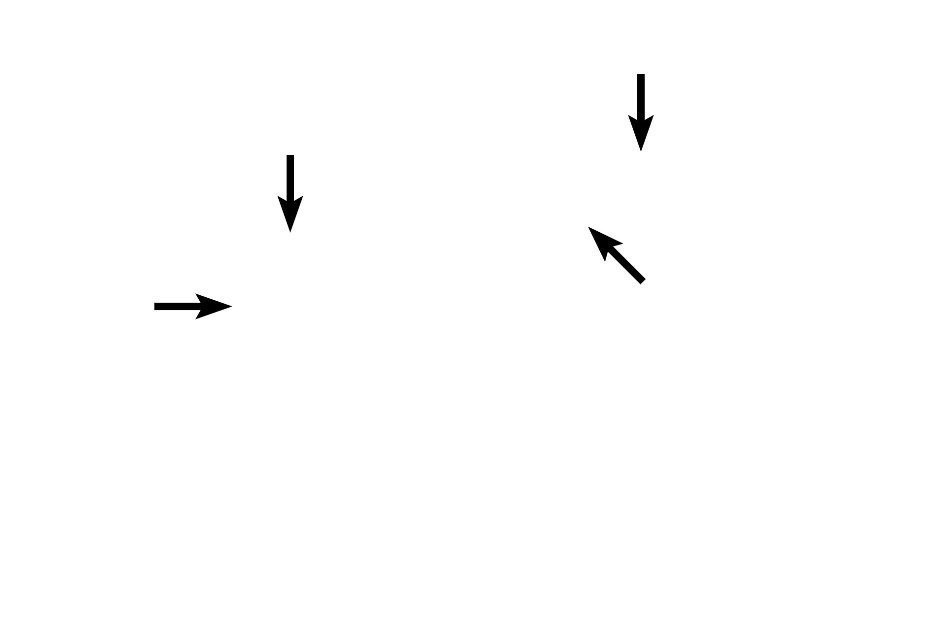 Centromeres <p>Sister chromatids are separated from each other following the breakdown of cohesive proteins holding them together at the centromere.  Chromatids are then drawn to opposite poles by the pulling force of the kinetochore microtubules.  Once separated, chromatids are referred to as chromosomes.</p>
