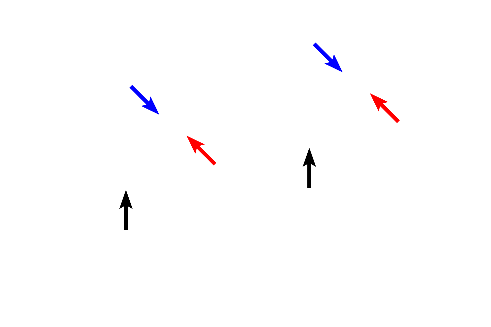 Mitotic spindles > <p>The mitotic spindle consists of two types of microtubules.  Kinetochore microtubules (blue arrows) attach to chromatids, drawing them toward the spindle pole.  Non-kinetochore microtubules are of two types.  One set overlaps opposing microtubules to push the spindle poles away from the midline (red arrows); the second extends radially from the spindle apparatus (black arrows).</p>
