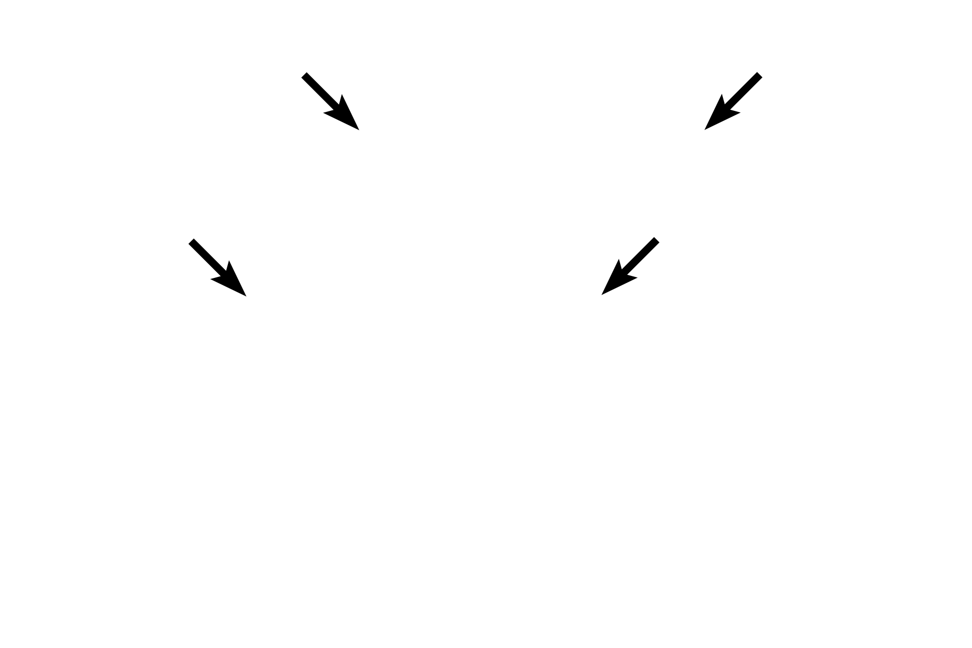 Chromosomes <p>Telophase is marked by the arrival of a single set of chromosomes at each spindle pole, reformation of the nuclear envelope, decondensation of the chromosomal DNA and the reappearance of the nucleolus.  A cleavage furrow continues to develop, indicating the initial formation of the daughter cells (cytokinesis).</p>
