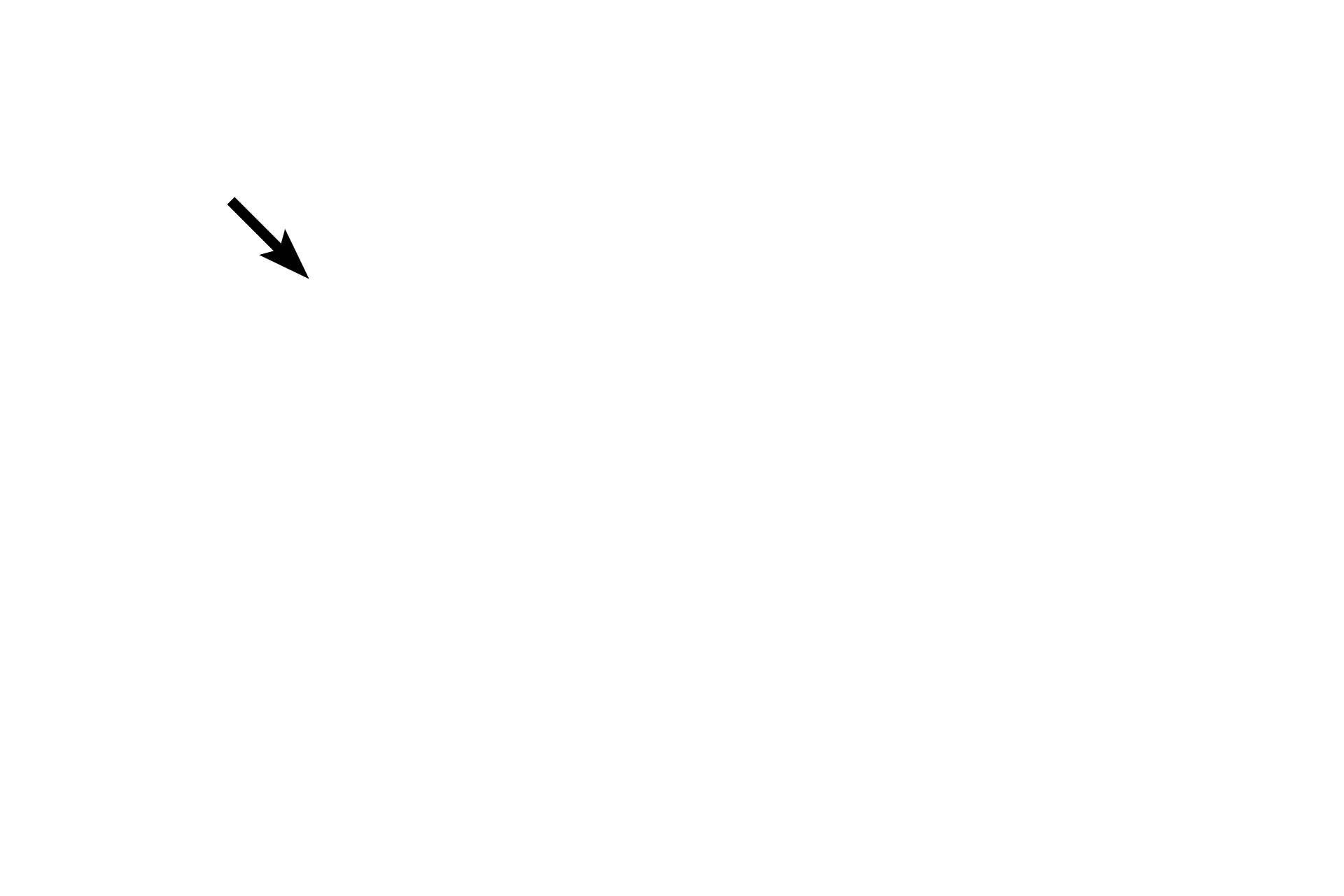 Nuclear envelope <p>During prophase, chromosomes condense, centrosomes move to opposite poles of the cell, the mitotic spindle assembles and the nuclear envelope and the nucleolus disappear.</p>
