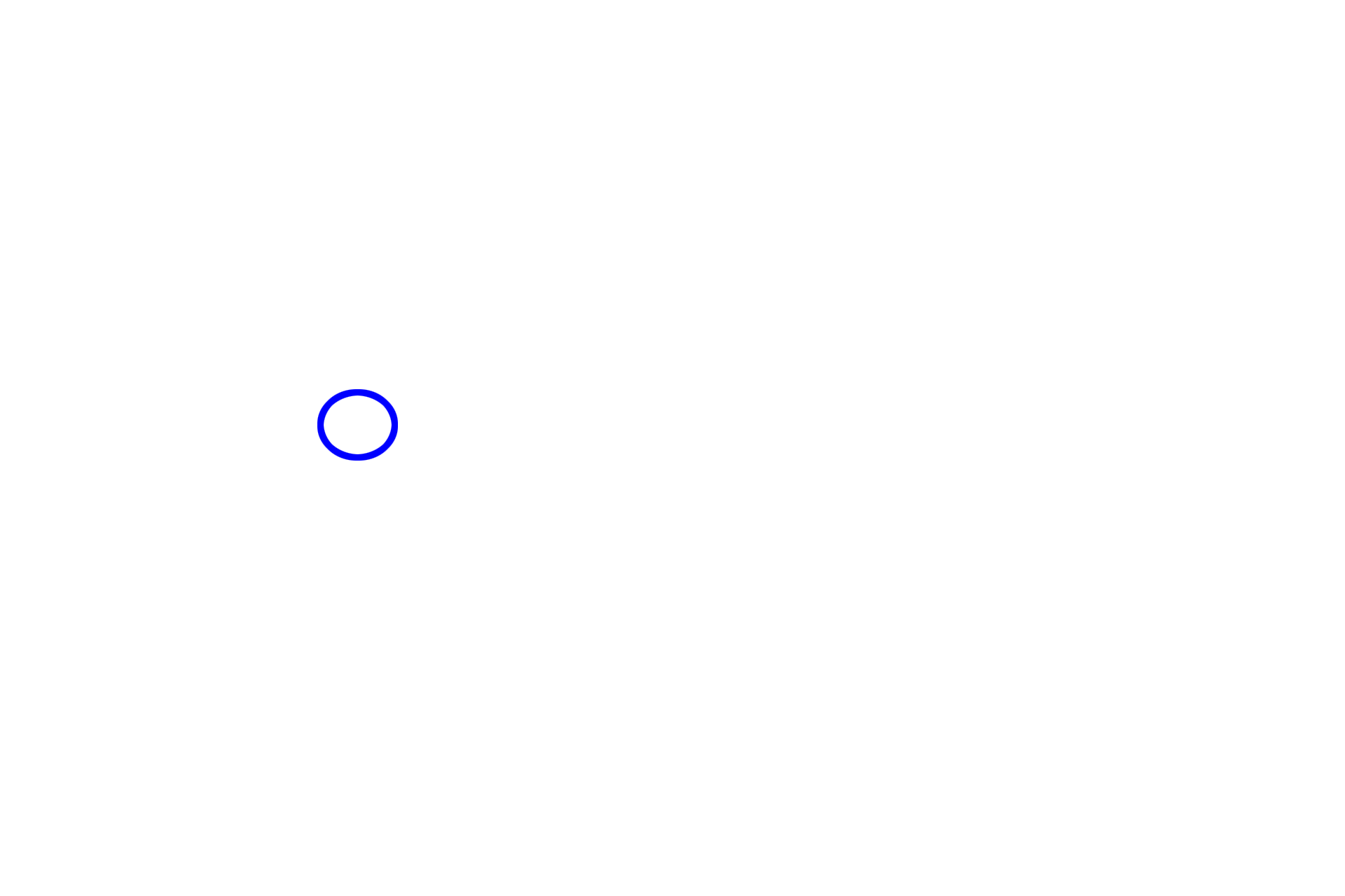 Nucleolus <p>During prophase, chromosomes condense, centrosomes move to opposite poles of the cell, the mitotic spindle assembles and the nuclear envelope and the nucleolus disappear.</p>
