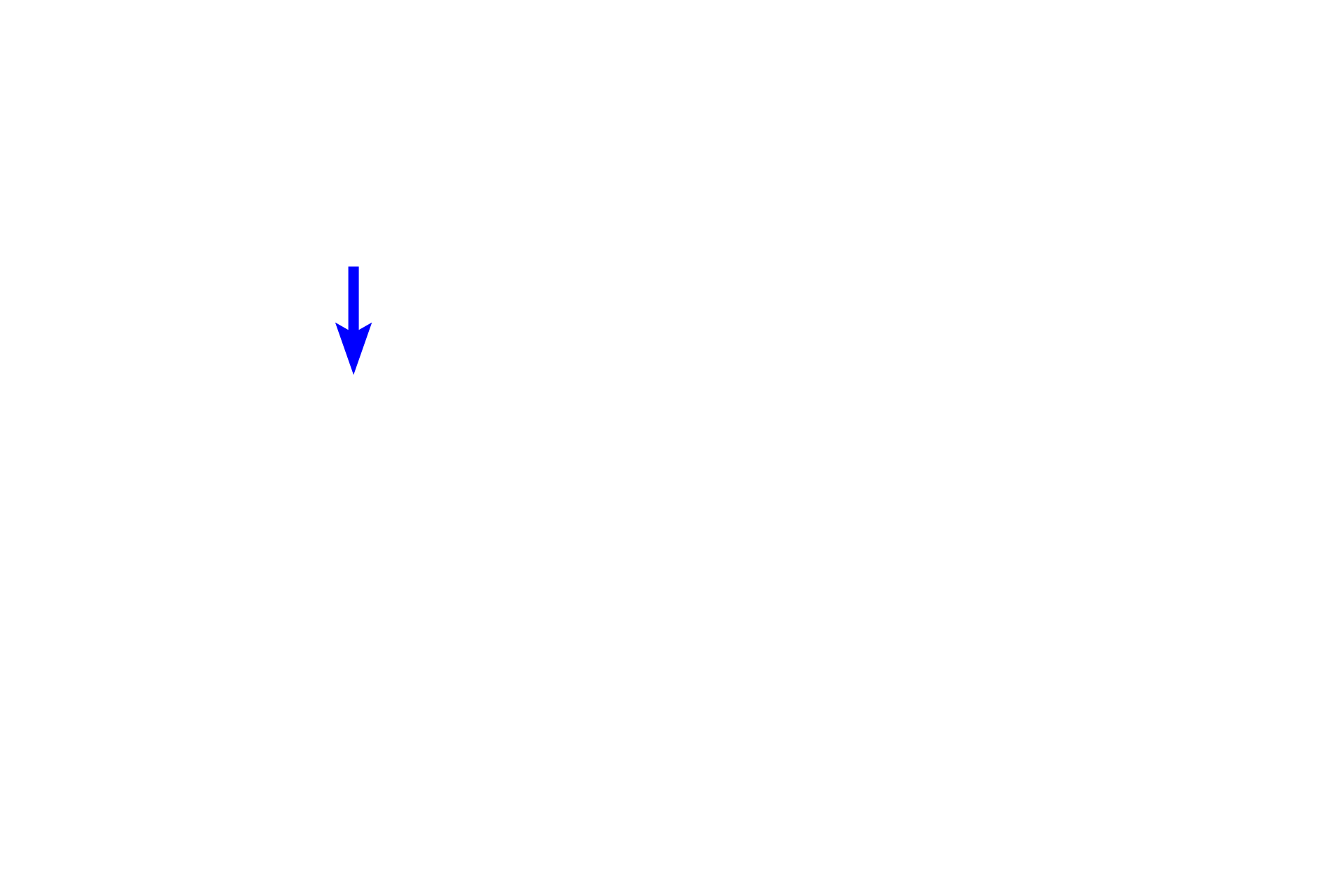 Centromere <p>During metaphase, paired homologous chromosomes, which are still joined by chiasmata, align at the metaphase plate.  These pairs, consisting of four chromatids, are called bivalents.  As in mitosis, the centrosomes have migrated to opposite poles of the cell and the mitotic spindle is complete.</p>
