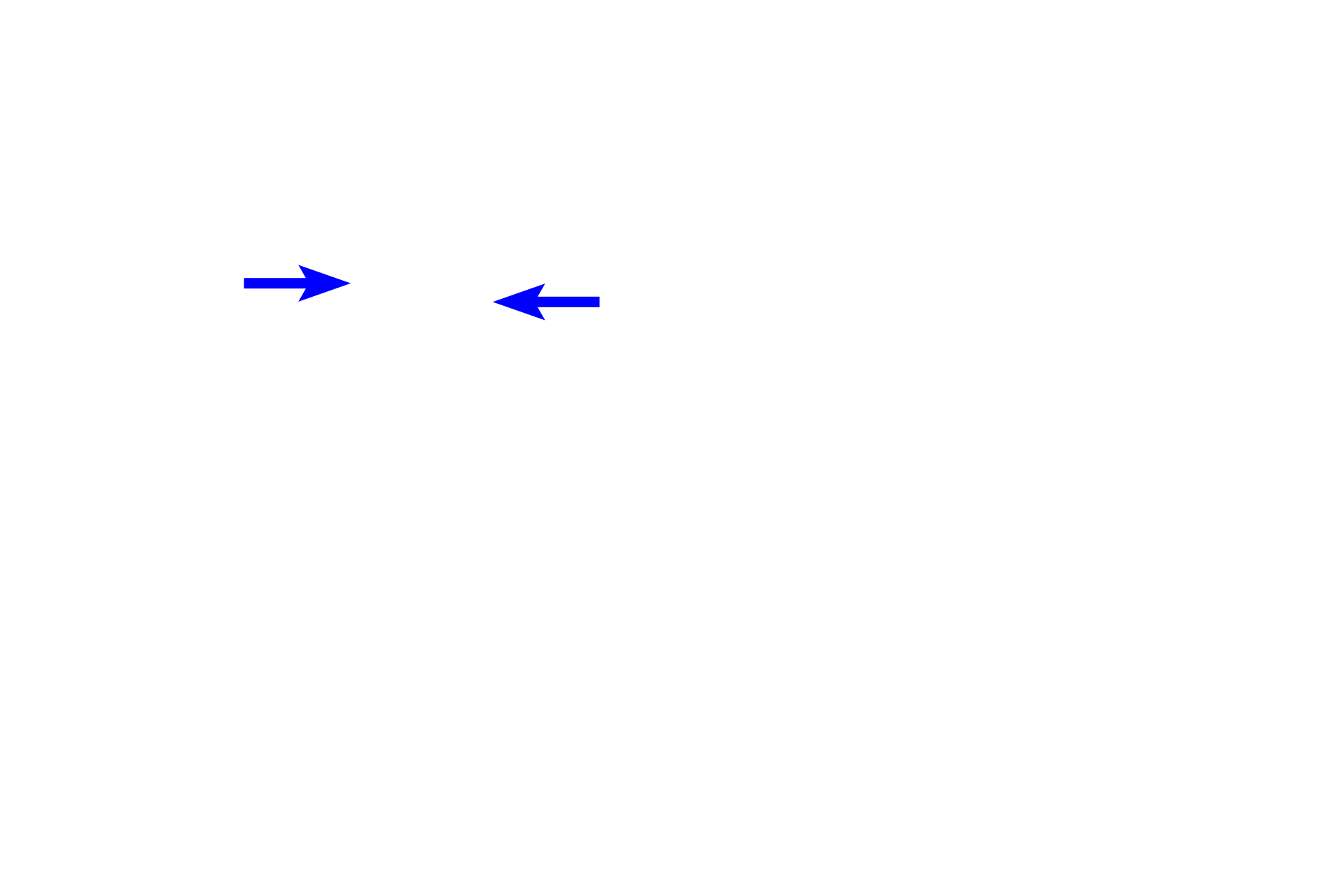 Cleavage furrow > <p>The cleavage furrow, marking the eventual separation site of the daughter cells, is formed by a contractile ring composed of actin and myosin filaments.  Interaction between the filaments tightens the ring and eventually pinches the cell into two daughter cells.</p>
