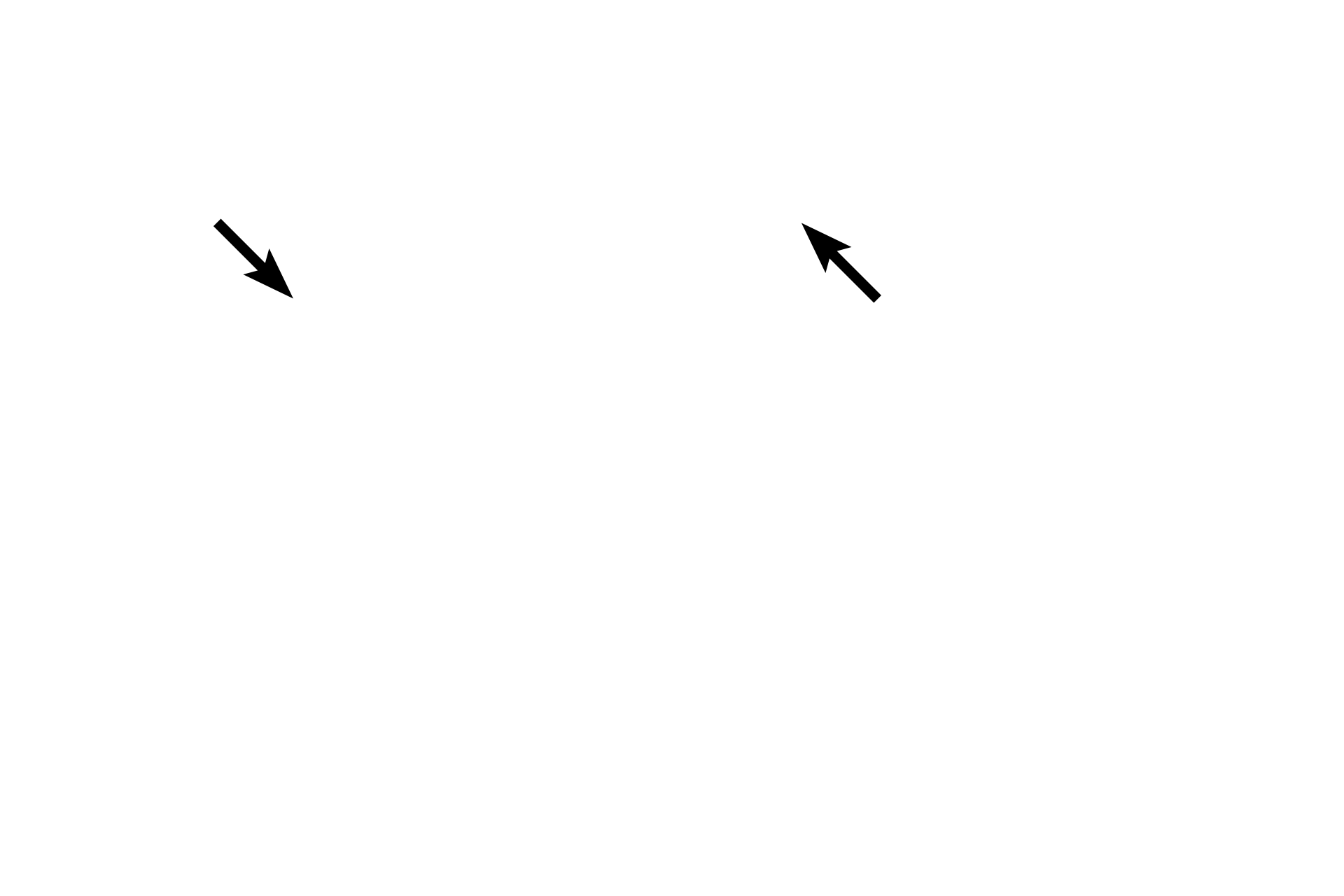 Nuclear envelopes <p>Cells enter prophase of meiosis II rapidly after cytokinesis of meiosis I without any intervening DNA synthesis.  The events occurring during prophase of meiosis II parallel those of mitosis.</p>
