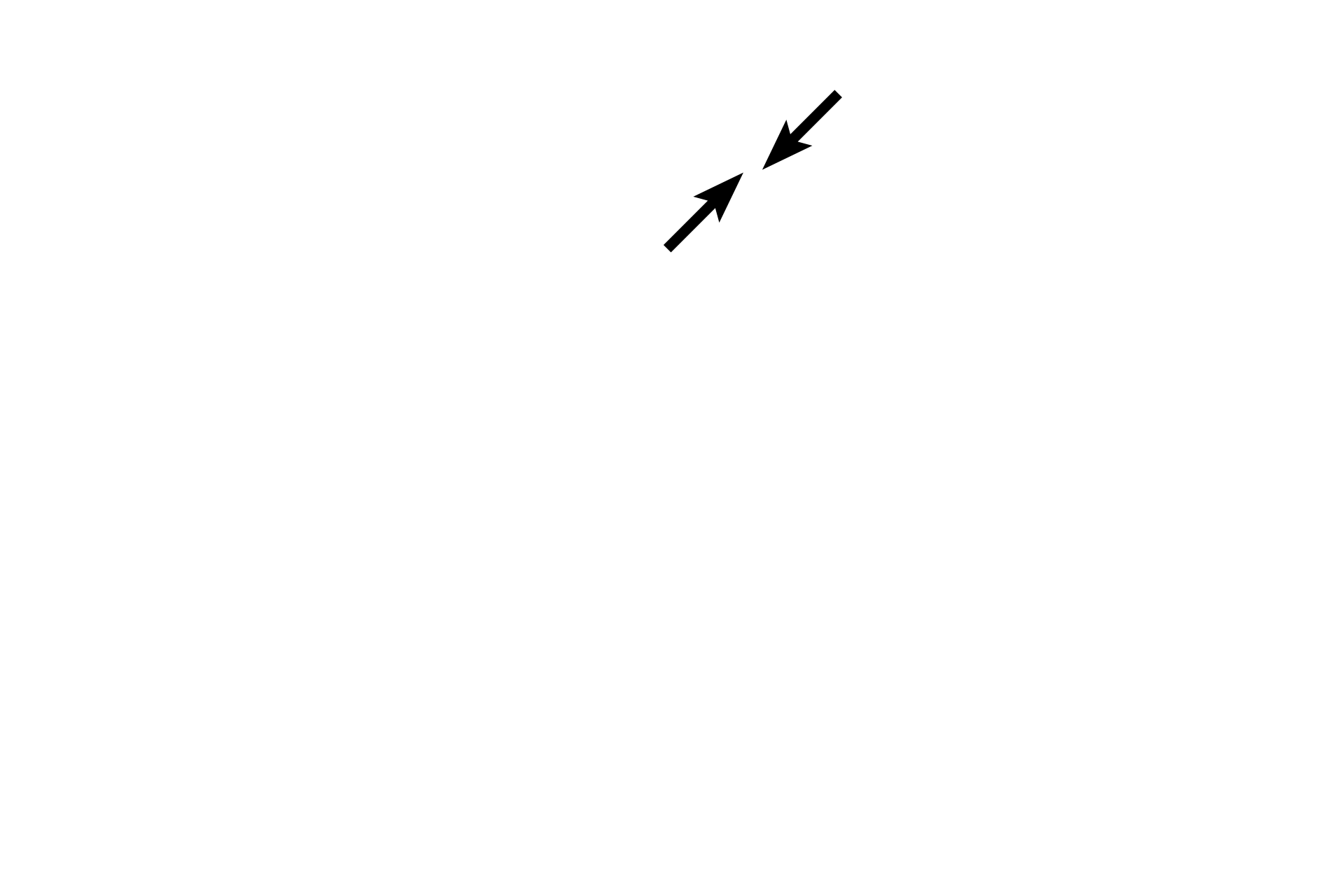 Sister chromatids <p>Cells enter prophase of meiosis II rapidly after cytokinesis of meiosis I without any intervening DNA synthesis.  The events occurring during prophase of meiosis II parallel those of mitosis.</p>
