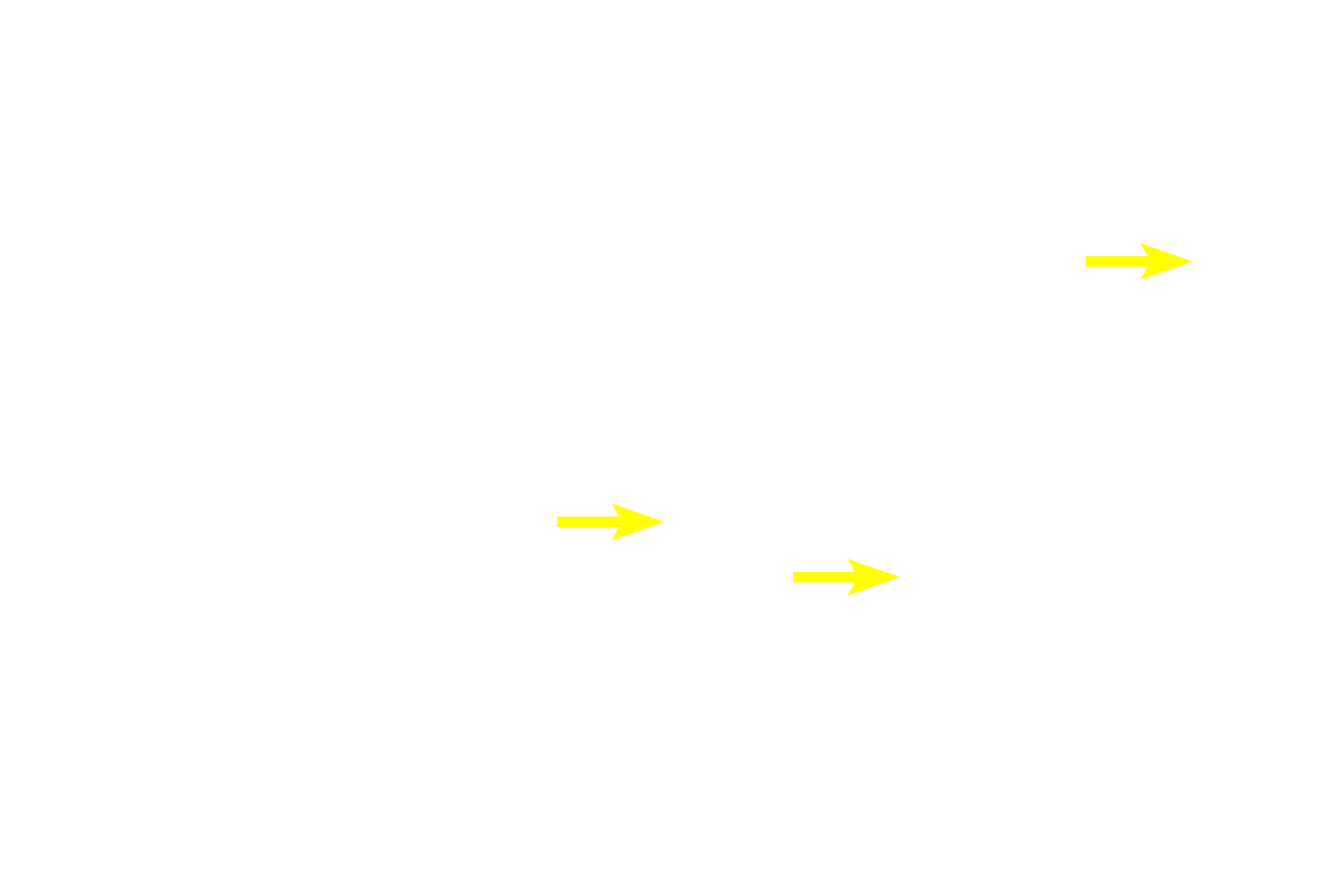 Nucleoli <p>Two cells in prophase are present among the interphase cells in this image from the basal layer of the esophageal epithelium.  Chromosomes are condensed in these cells and their nucleoli and nuclear envelopes are absent. 1000x</p>
