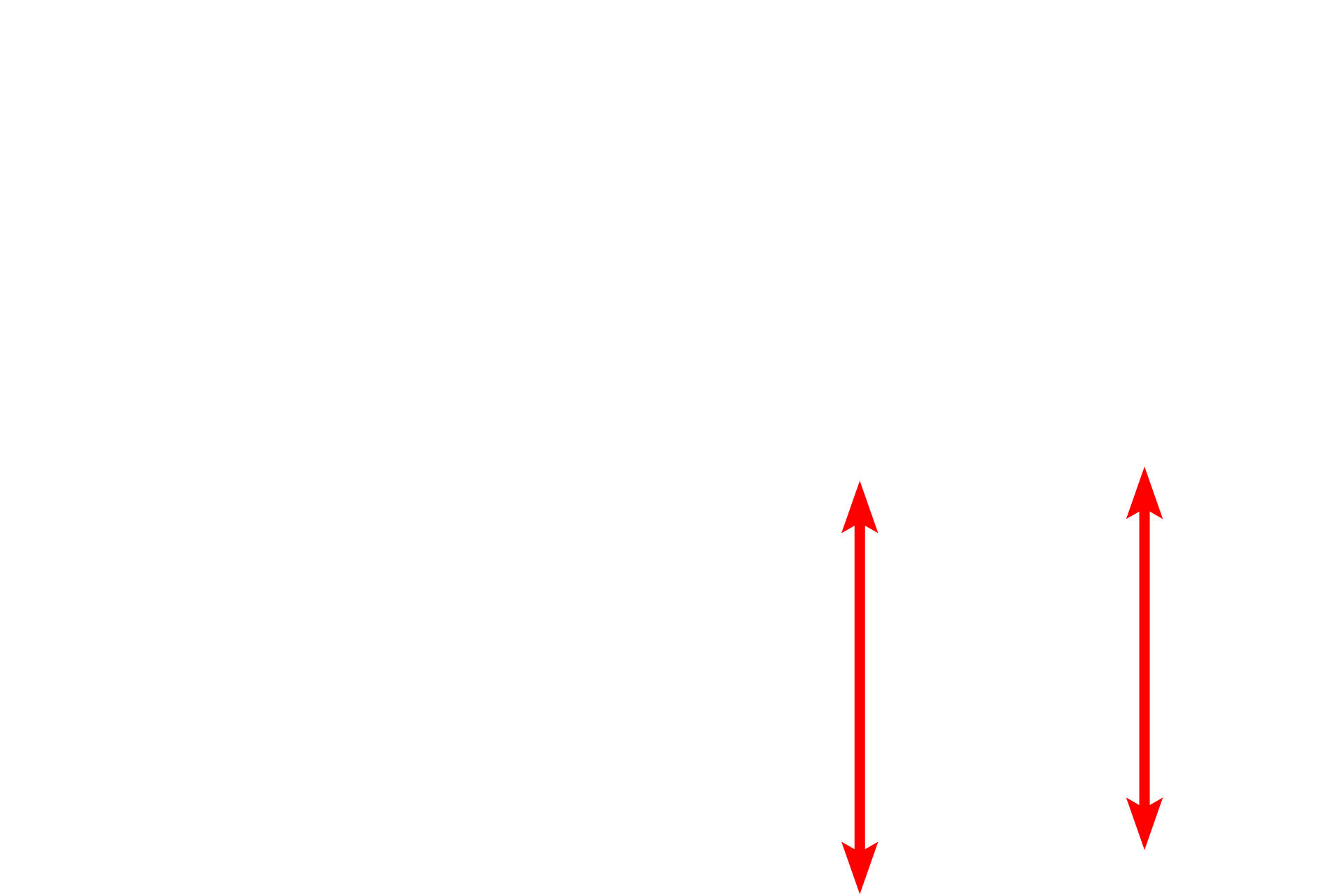 Daughter cells <p>During late telophase, the chromosomes decondense and the nuclear envelope reforms.  At this stage, cytokinesis is nearly complete.</p>
