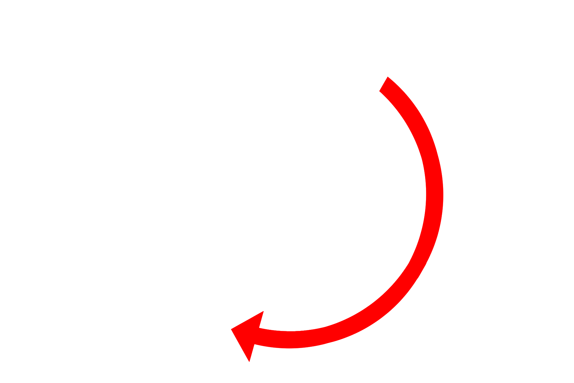  - G1 phase > <p>During G1 phase, the cell increases in size and increases the number of organelles, e.g., mitochondria and ribosomes.</p>
