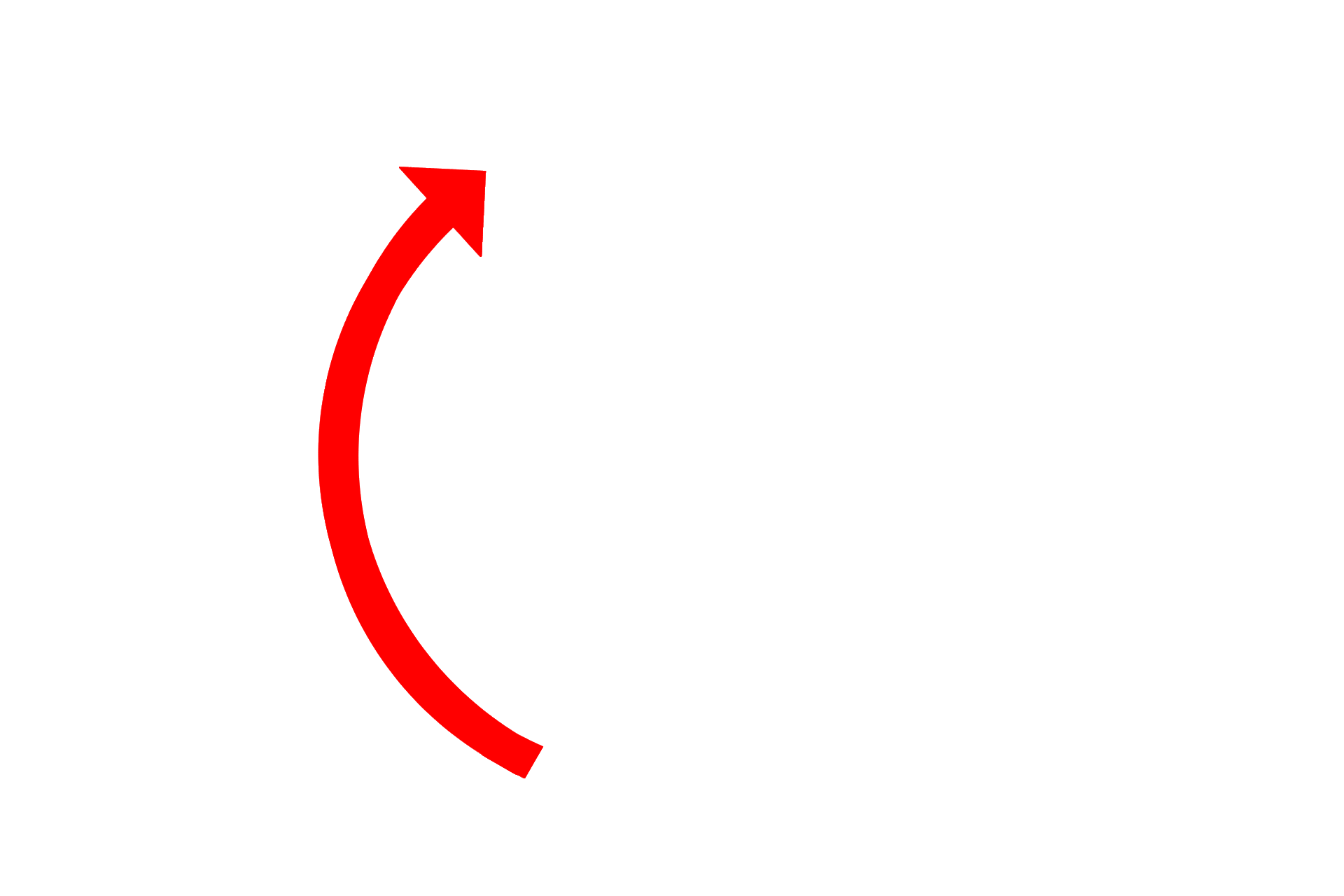  - S phase > <p>During S phase or synthesis phase, nuclear DNA is replicated.  Duplication of the diplosome begins at the interface of the G1/S phases.</p>
