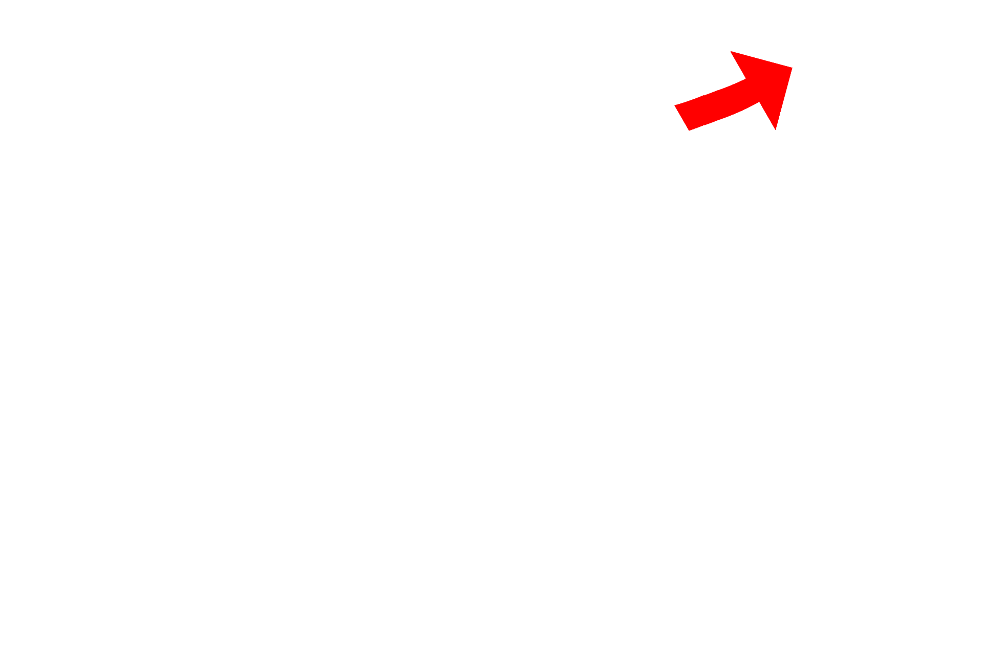 G0 phase > <p>The G0 phase is not a part of the cell cycle. Rather, cells in the G0 phase have exited the cell cycle and, therefore, are no longer dividing.  Under certain conditions, G0 cells can re-enter the cell cycle.</p>
