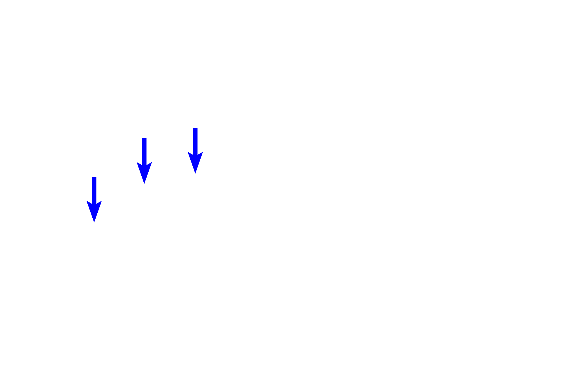 Microtubules <p>In interphase cells, a pair of centrioles (diplosome) is located near the nucleus in a region called the centrosome (microtubule-organizing center or MTOC).  In most cells, the centrosome is the site of origin of microtubules which radiate out through the cytoplasm, providing intracellular transport.  The MTOC is often found near the maturing face of the Golgi.  Whitefish blastula (L)  1000x; Plasma cell (R)  5000x</p>
