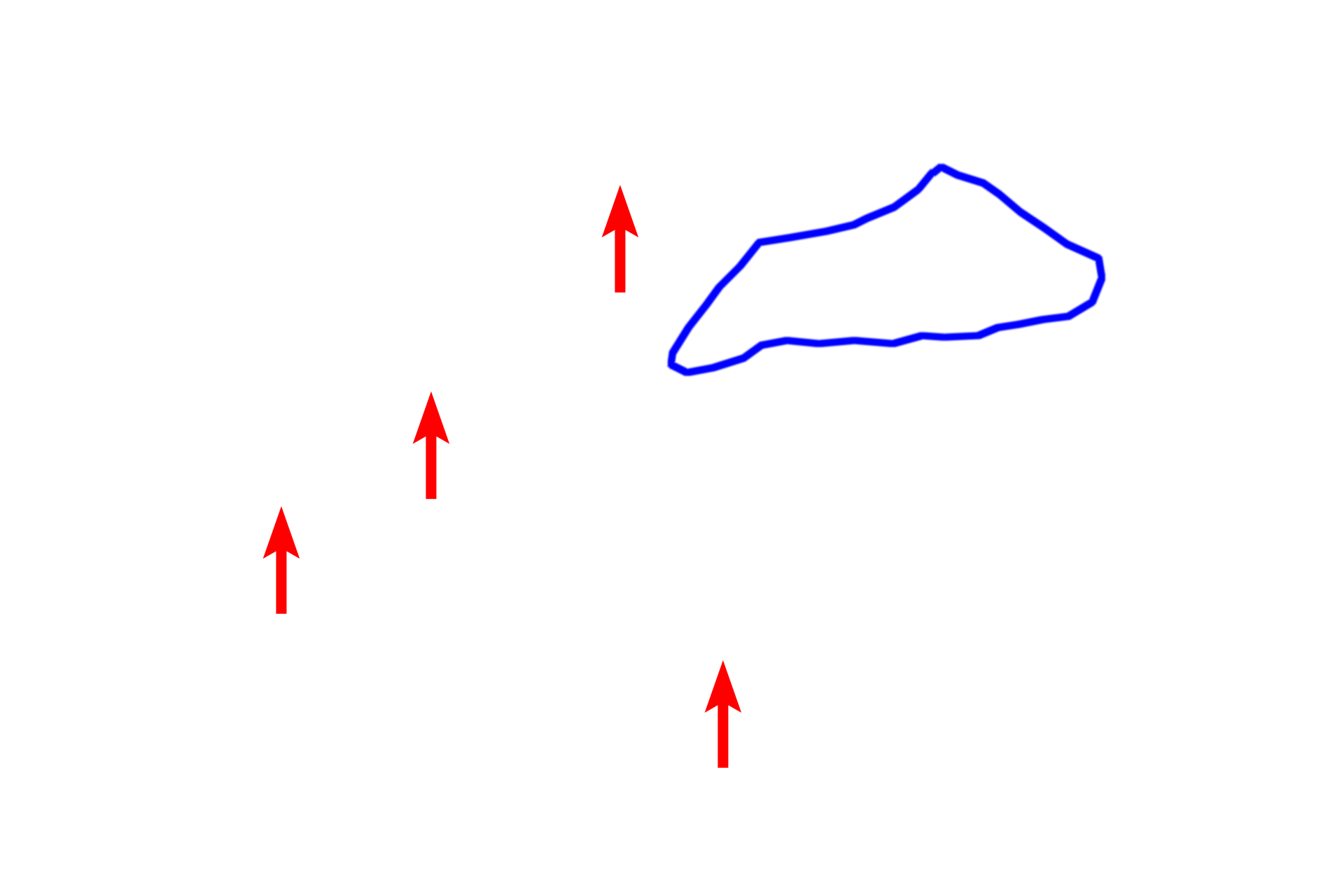 Intermediate filaments > <p>In neurons, intermediate filaments are called neurofilaments (red arrows).  These filaments are rigid and very stable, providing support, particularly in longer, larger axons.  Intermediate filaments are also present in supporting astrocytic glial cells; a group of these filaments is outlined in blue.  These filaments, called glial filaments, also provide support.</p>

