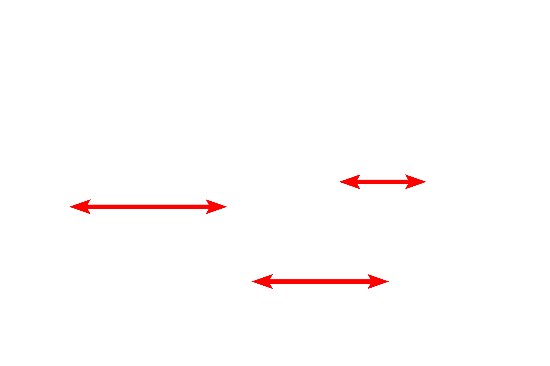 Axon <p>This electron micrograph shows myelinated axons cut in cross section.  The hollow microtubules and the intermediate filaments are especially prominent in axons, where they provide intracellular transport and support, respectively.  In nerve cells, intermediate filaments are called neurofilaments.  Intermediate filaments in a non-neuronal cells are also visible.  Brain 50,000x</p>
