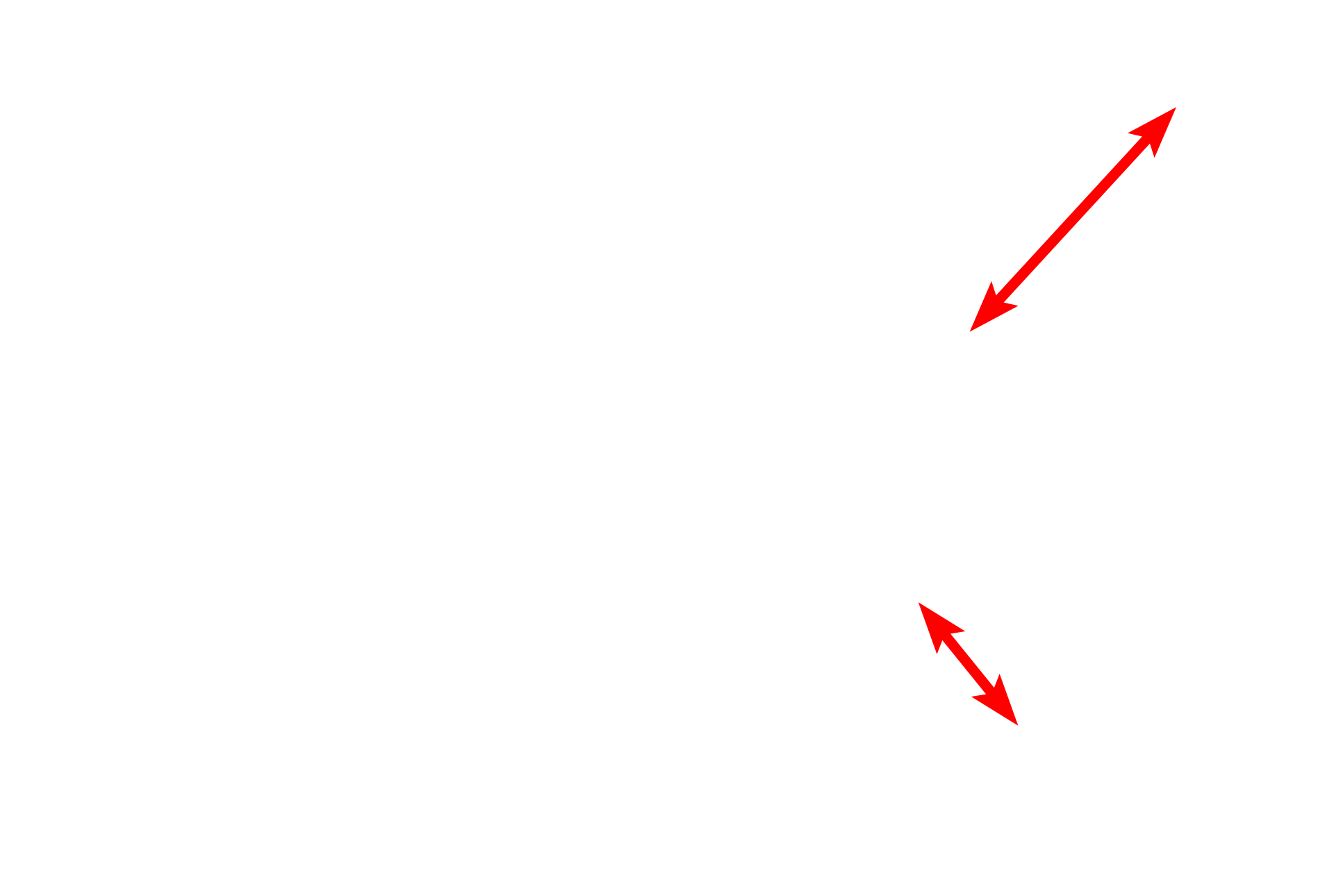  - RER <p>At the EM level, large accumulations of RER can be seen at the base of the cell.  The nucleus is also in the cell base, while secretory granules are in the apex, waiting release into the duct of the gland.  The segregation of the RER and secretory granules results in cell polarity, indicating the cell is making protein for exocrine secretion.  Pancreas  4000x</p>
