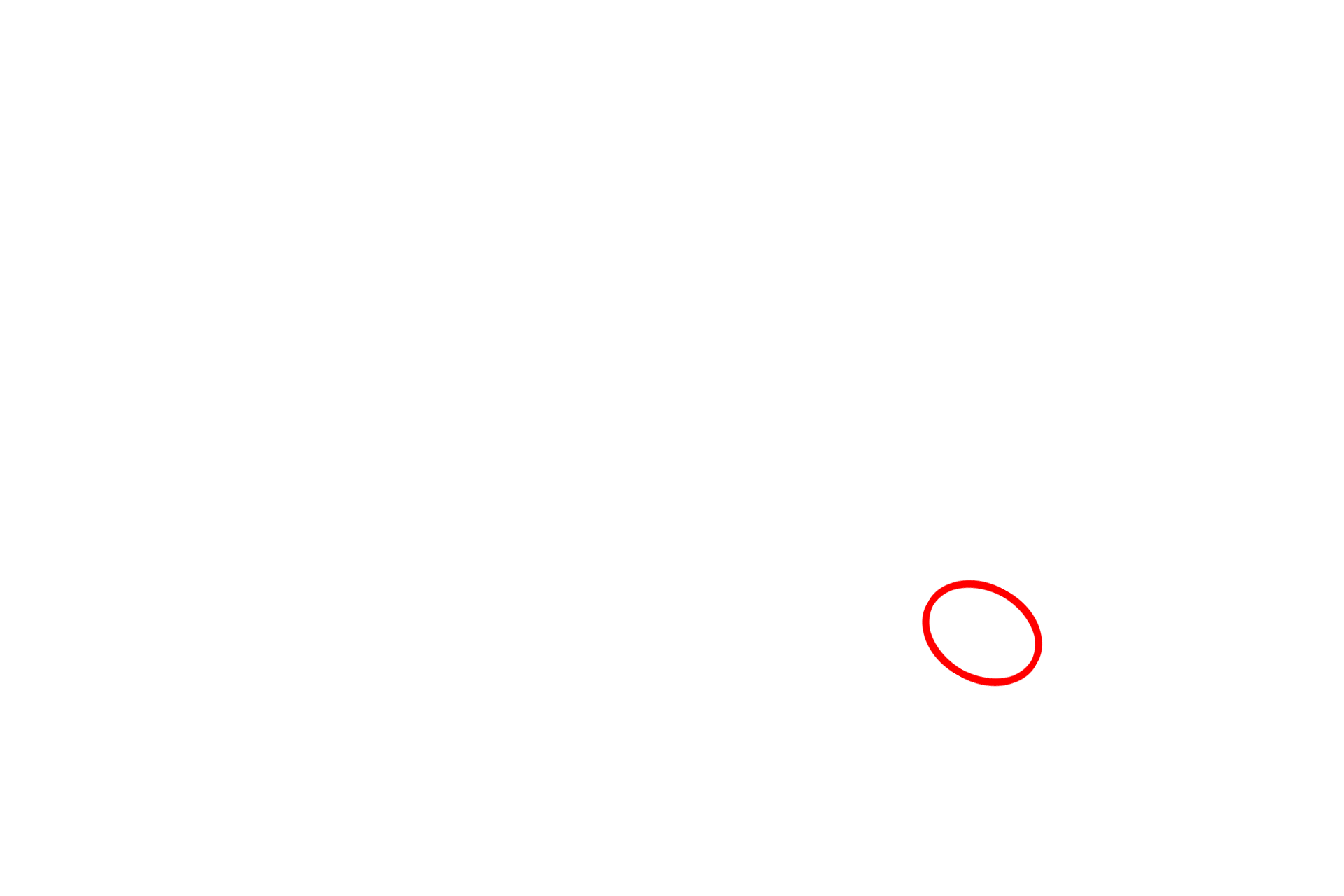 Connection with nuclear envelope <p>The RER consists of flattened, interconnected membranous sacs (cisterns) continuous with the nuclear envelope.  RER possesses ribosomes on the cytoplasmic surface of the membrane.  Proteins synthesized by the RER accumulate within the cisterns and are transported, via transport vesicles, to the Golgi for processing and packaging.  58,000x</p>
