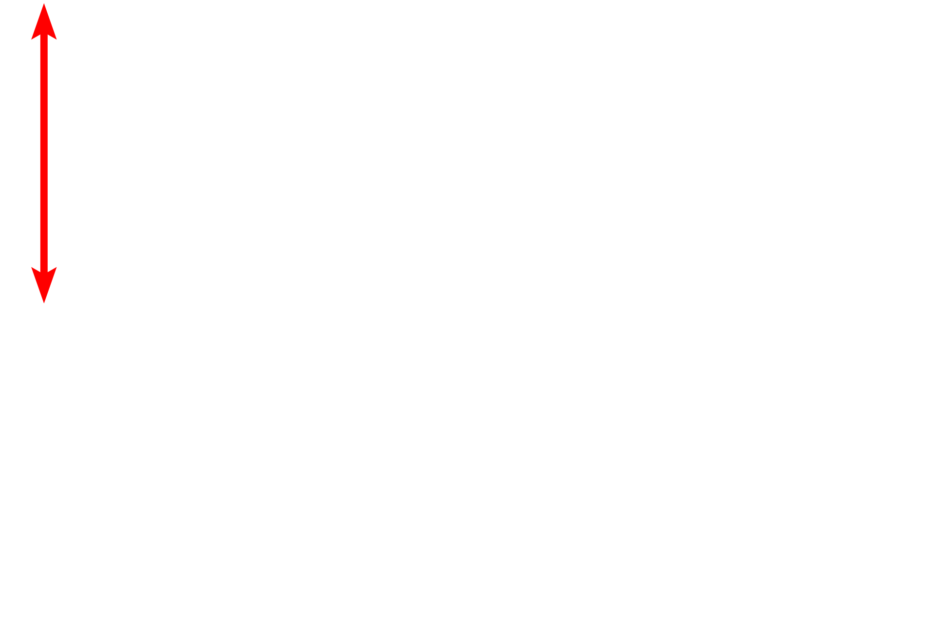 Lipid droplet <p>In actively secreting cells, the RER is very extensive and consists of large numbers of interconnecting, flattened sacs or cisterns.  Also visible in this field is the nuclear envelope showing ribosomes on the cytoplasmic surface of the outer nuclear membrane.  Mitochondria and lipid droplets are also present.  40,000x</p>

