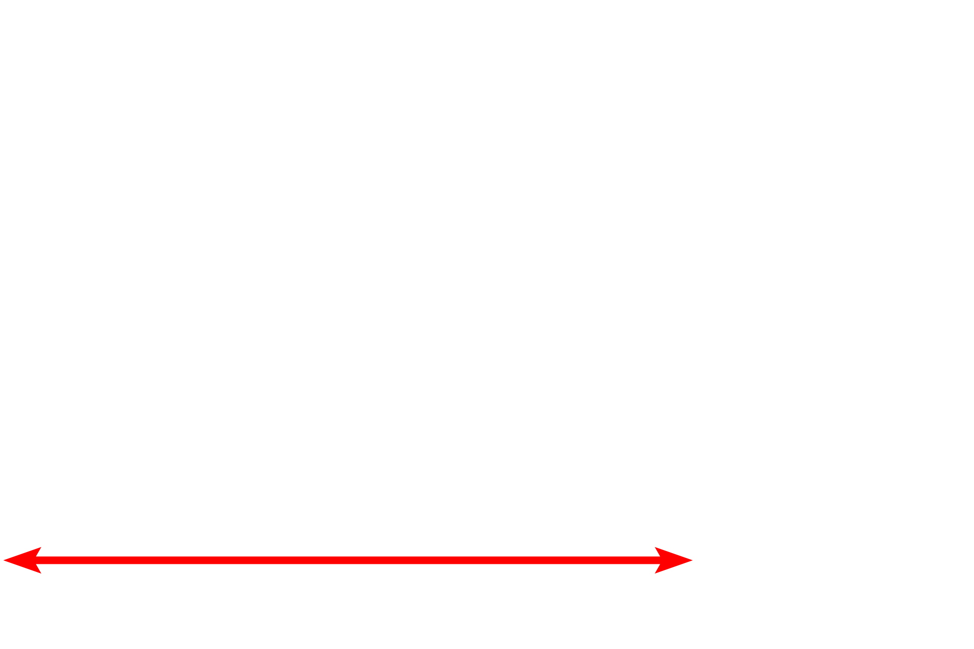 Nucleus <p>Proteins for export and membrane insertion are synthesized by the RER and transferred to the Golgi via transport vesicles.  Transport vesicles fuse with the cis or forming face of the Golgi.  The proteins from the vesicles are post-translationally modified while moving toward the trans or maturing face. There, they are packaged into vesicles and secretory granules for transport to the plasma membrane.</p>
