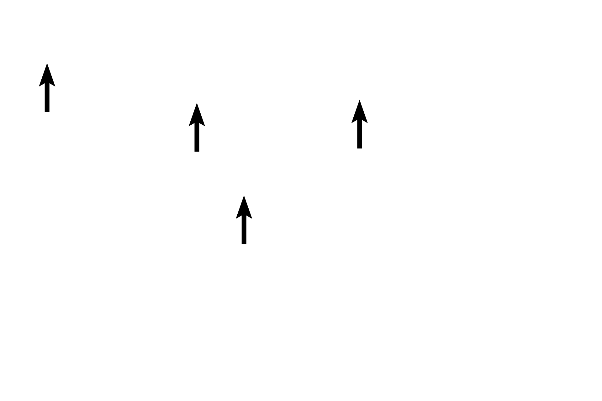 Nuclei <p>The location of the Golgi is clearly evident in this H&E stained section of the pituitary gland.  The location of the Golgi apparatus appears as a pale-staining region of the cytoplasm adjacent to the nucleus, surrounded by the secretory granules it produces.  The large Golgi displaces the granules thus resulting is a lightly stained region, referred to as “negative Golgi” image.   The structure of the Golgi apparatus cannot be seen with H&E staining.  1000x</p>
