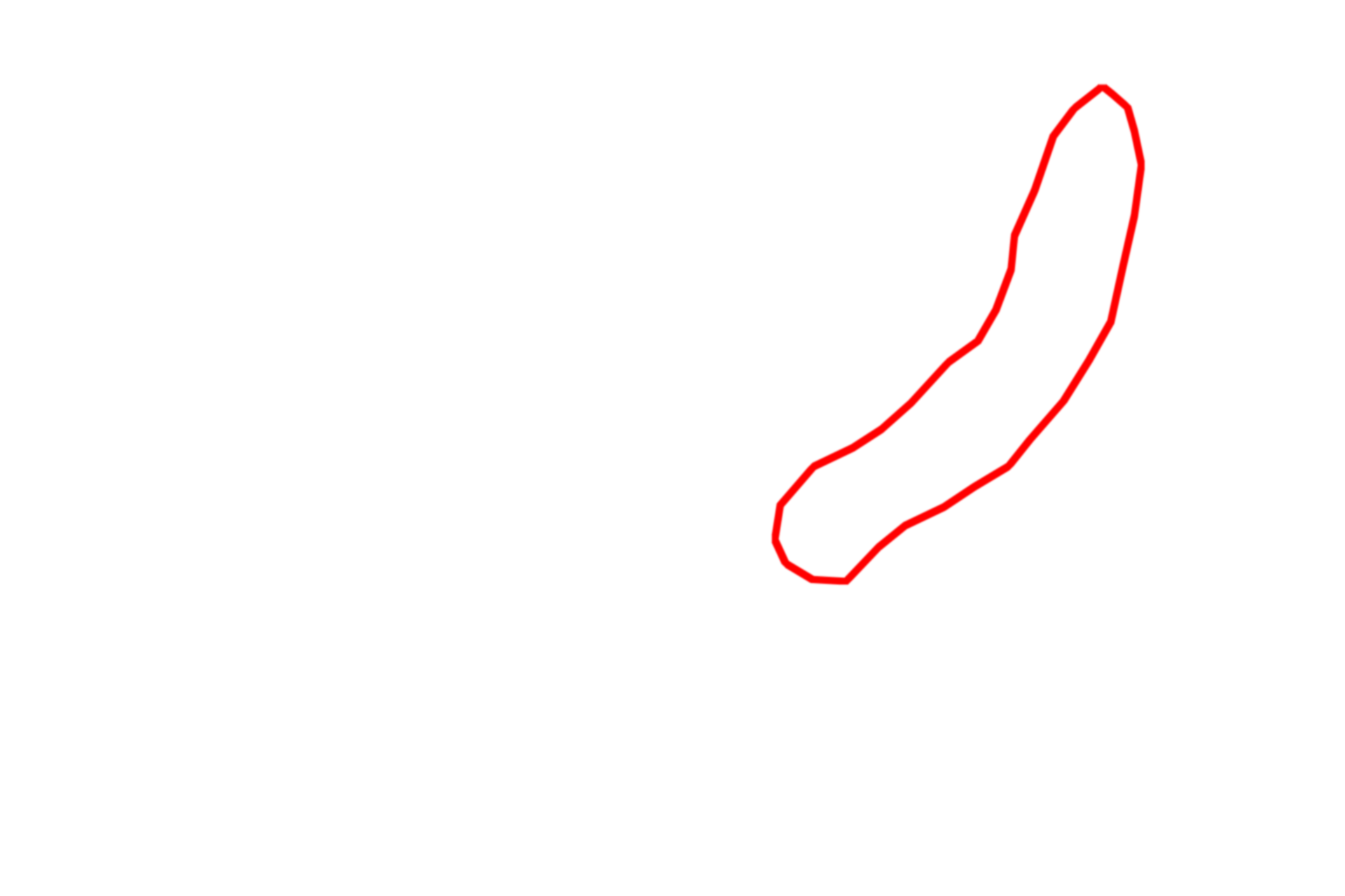 Golgi apparatus <p>An electron micrograph of an active fibroblast shows a large Golgi apparatus with its associated vesicles.  This cell also shows large accumulations of RER, a feature consistent with a prominent Golgi apparatus.  Newly synthesized proteins in the RER are transported to the Golgi by way of transport vesicles.  12,000x</p>
