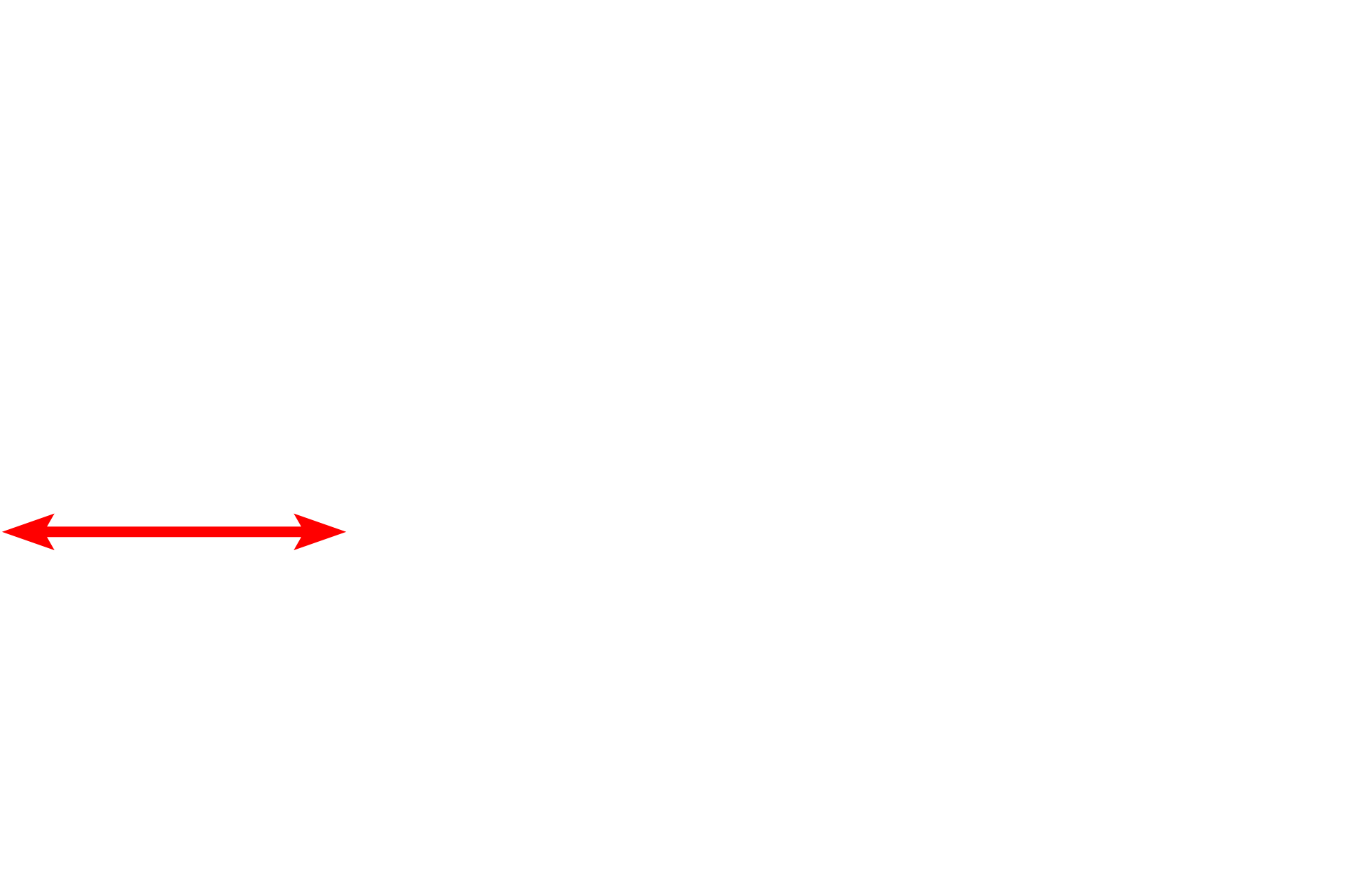 Nucleus <p>The Golgi apparatus is most often located adjacent to the nucleus; however, in cells such as the one shown here, there can be multiple Golgi complexes, some of which are located at a distance from the nucleus.  20,000x</p>

