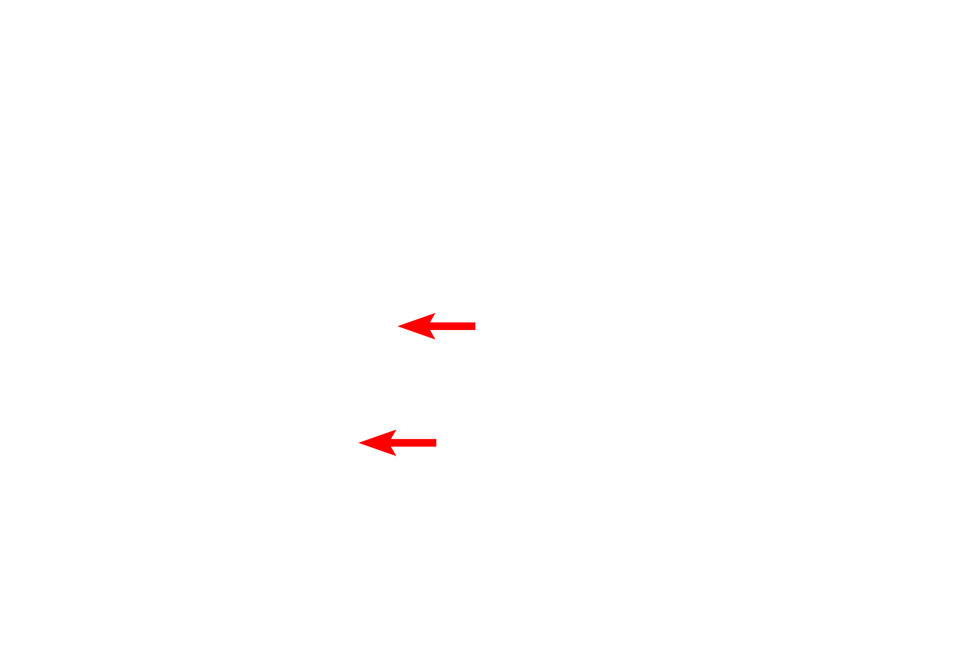 Centrioles > <p>Centrioles are composed of microtubules and are found in pairs, called the diplosome, near the Golgi apparatus.  These centrioles form microtubules that extend into the cytoplasm and serve as a transport pathway for the newly-formed vesicles.</p>
