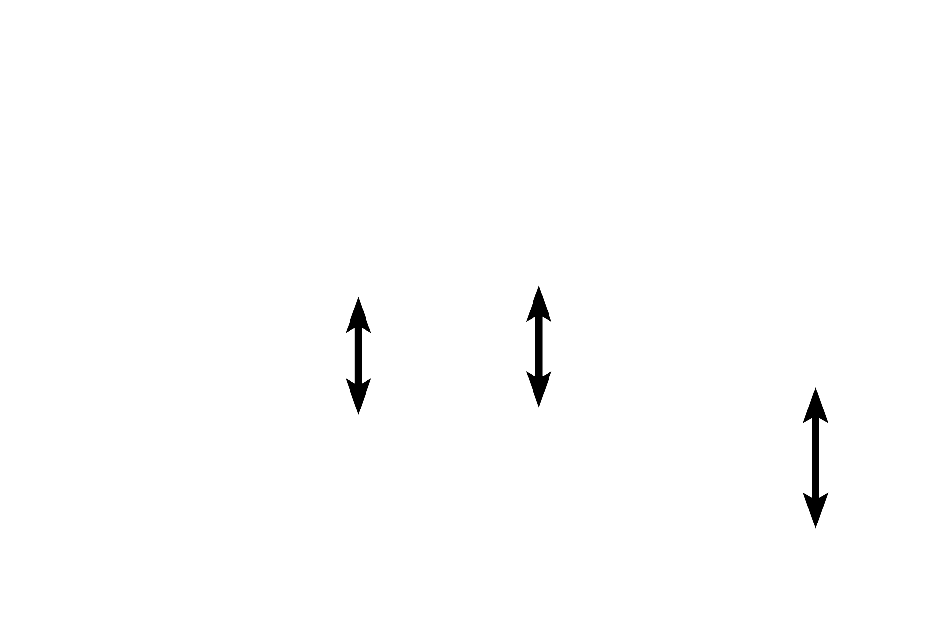 Adipocytes <p>This collection of fat cells, or adipocytes, is located in the subcutaneous tissue beneath the skin.  Note the “honeycomb” appearance of the tissue due to the loss of the lipid from the cells during tissue processing.  In life, these cells contain a single large droplet of lipid which nearly fills the cell and displaces the cytoplasm and nucleus to the periphery.  Hypodermis  400x</p>
