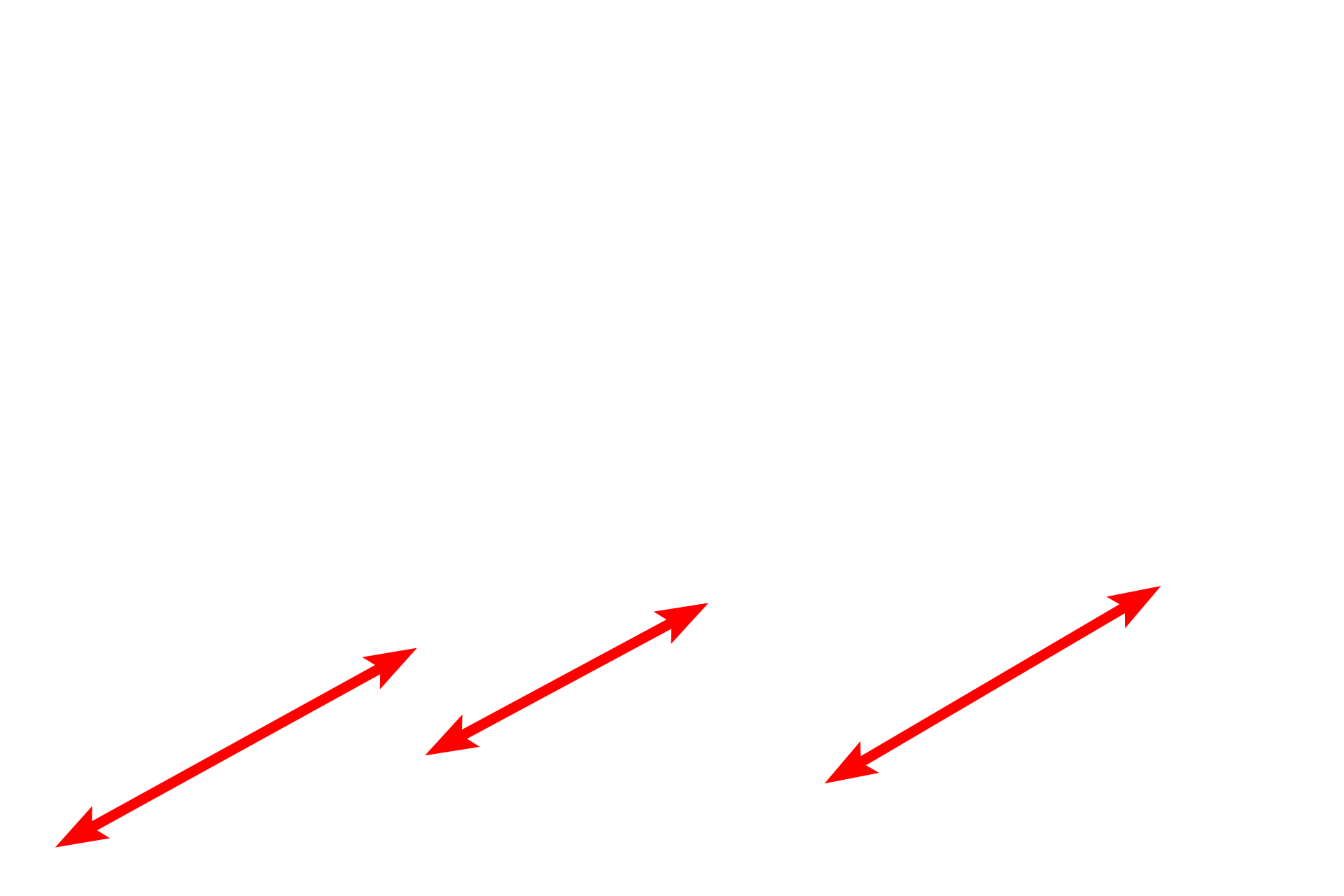 Lysosomes <p>Lysosomes are organelles which contain hydrolytic enzymes and are surrounded by a single unit membrane.  The contents of a lysosome can appear highly heterogeneous depending on the type of material that is being broken down.  Lysosomes form by the fusion of Golgi-derived, pre-lysosomal vesicles with either internalized materials or autophagosomes.  30,000x</p>
