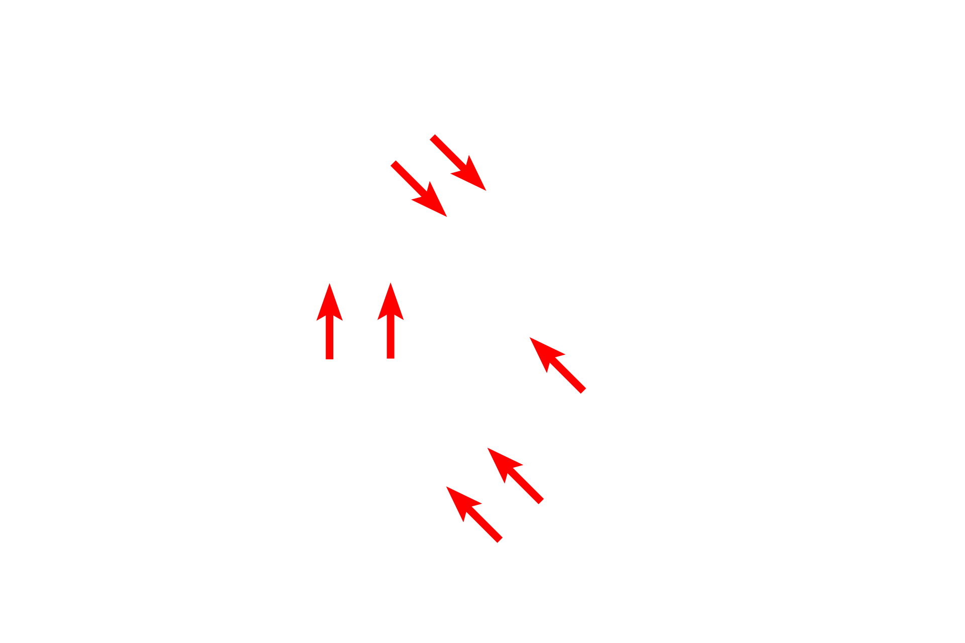  - Inner membrane <p>The mitochondrion is a membranous organelle possessing two membranes, which are readily resolved in this high magnification micrograph.  The inner membrane is folded and projects into the central matrix of the mitochondrion to provide increased surface area.  These fold are called cristae.  60,000x</p>
