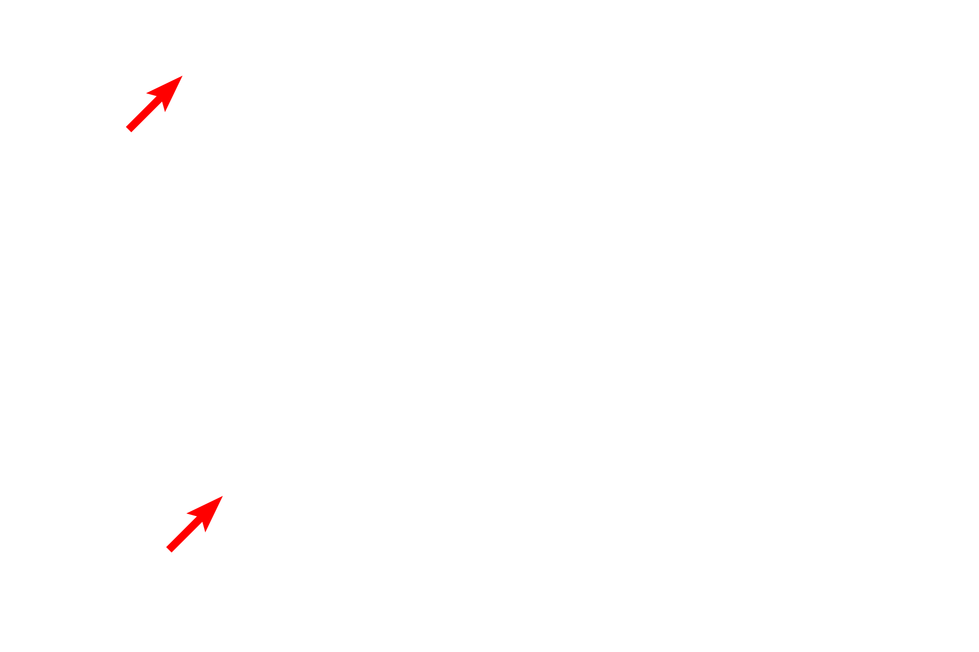 Mitochondria <p>Membranes are present at the cell surface and also form membranous intracellular organelles, such as RER, mitochondria and vesicles.  All membranes consist of a phospholipid bilayer composed of cholesterol and protein; integral membrane proteins span the bilayer; peripheral proteins associate with the membrane surface.  Membranes are 8-10 nm in thickness.  45,000x</p>
