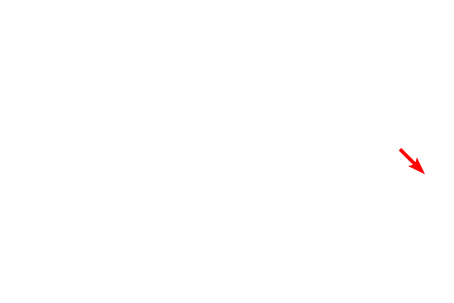 Vesicle <p>Membranes are present at the cell surface and also form membranous intracellular organelles, such as RER, mitochondria and vesicles.  All membranes consist of a phospholipid bilayer composed of cholesterol and protein; integral membrane proteins span the bilayer; peripheral proteins associate with the membrane surface.  Membranes are 8-10 nm in thickness.  45,000x</p>
