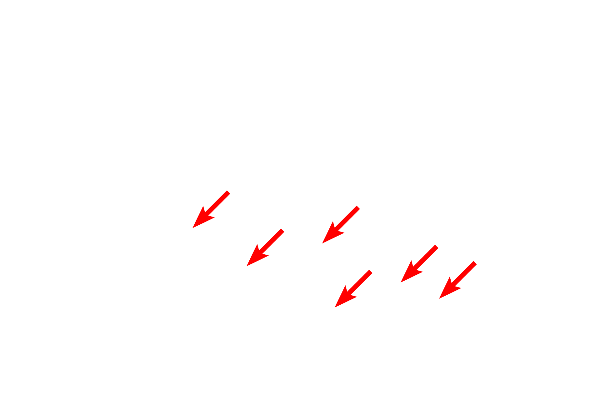 Plasma membrane > <p>The plasma membrane is the membrane at the cell surface, enclosing the cytoplasm of the cell.</p>
