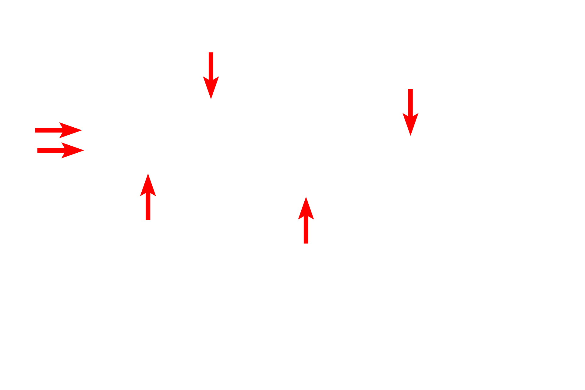 Plasma membrane <p>A unique feature of the plasma membrane is the glycocalyx, a fuzzy, carbohydrate-rich layer only present on the external cell surface. This layer consists of carbohydrate chains attached to proteins and lipids, as well as secreted proteoglycans.  The glycocalyx provides a microdomain for enzymatic digestion, cell recognition and adhesion.  In this image, the glycocalyx is seen projecting from the tips of small cell processes called microvilli.  10,000x</p>
