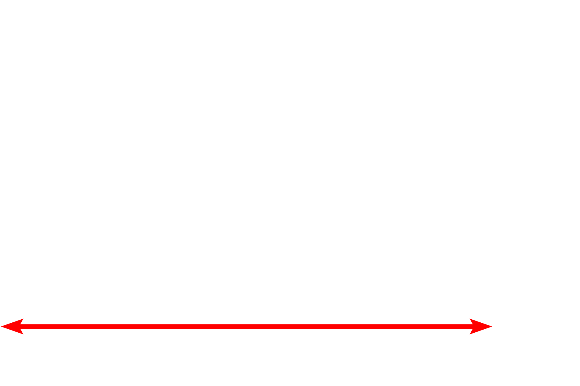 Nucleus <p>Membranes form a major component of a number of intracellular organelles.  These membranes have the same lipid and protein organization as the plasma membrane.  This image shows the two membranes forming the nuclear envelope, as well as those composing rough endoplasmic reticulum (RER), smooth endoplasmic reticulum (SER) and mitochondria. 38,000x</p>
